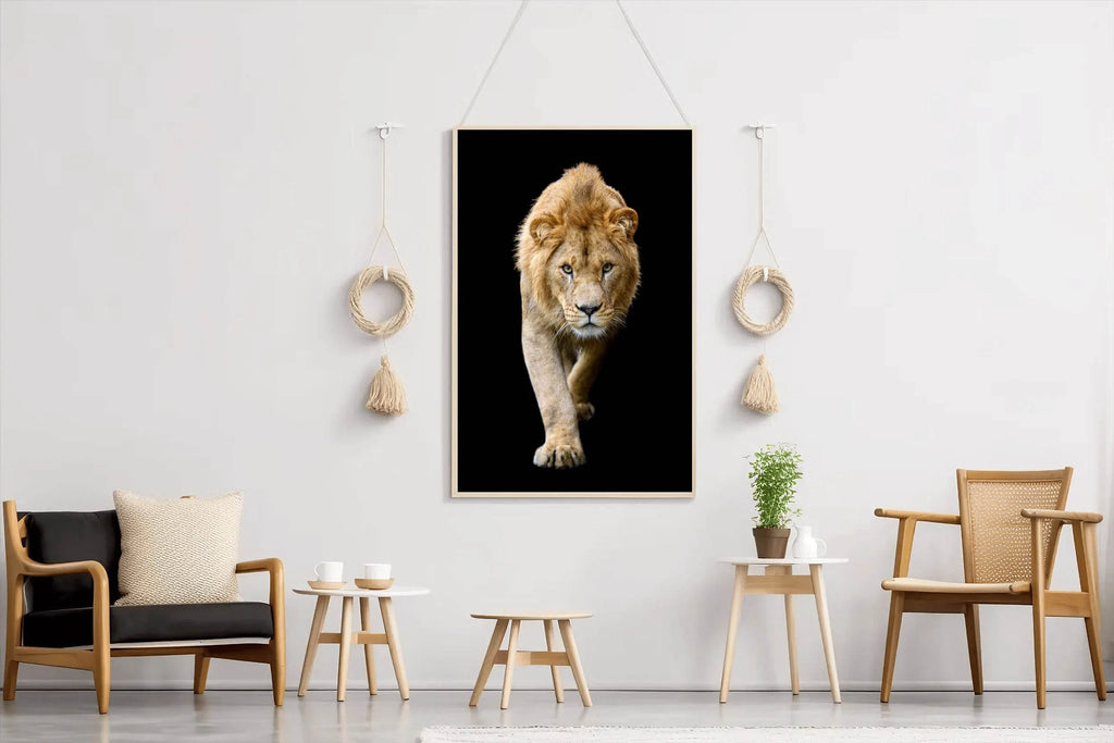 Asiatic Lion Animal Wall Art - beink online art store