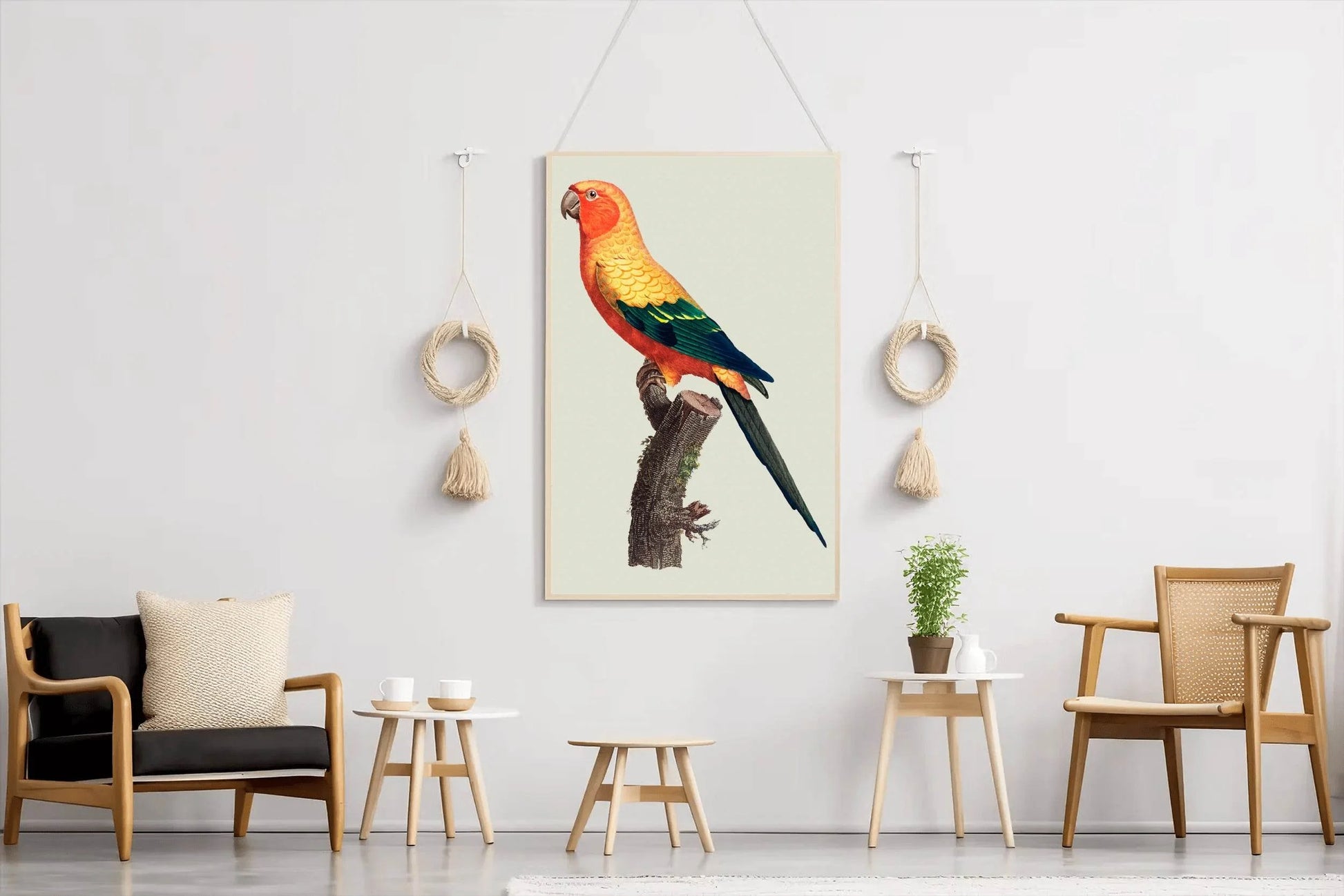Painting of Sun Conure Parrot Wall Art - beink online art store