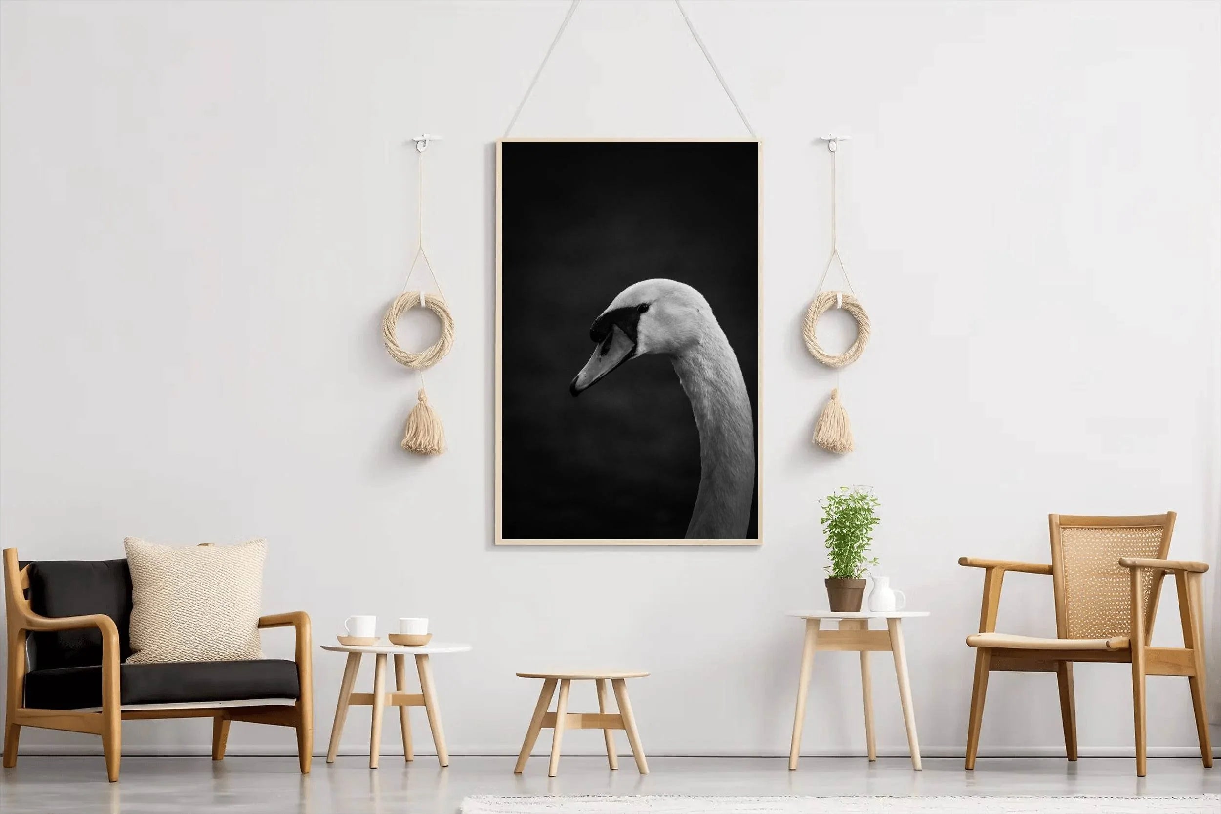 Mute Swan Black & White Wall Art - beink online art store