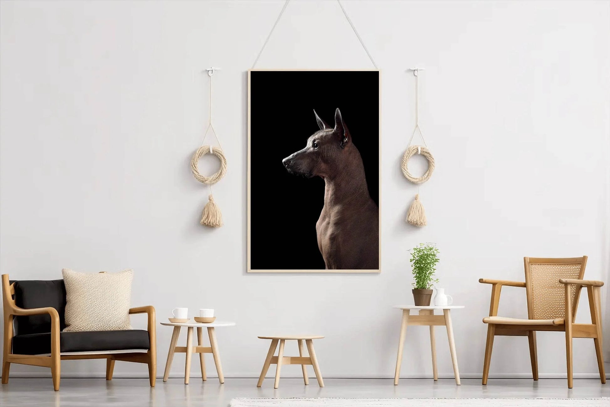 Peruvian Inca Orchid Animal Wall Art - beink online art store