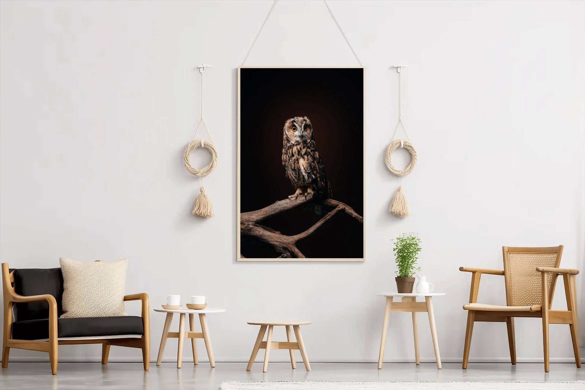 Long-Eared Owl Bird Wall Art - beink online art store
