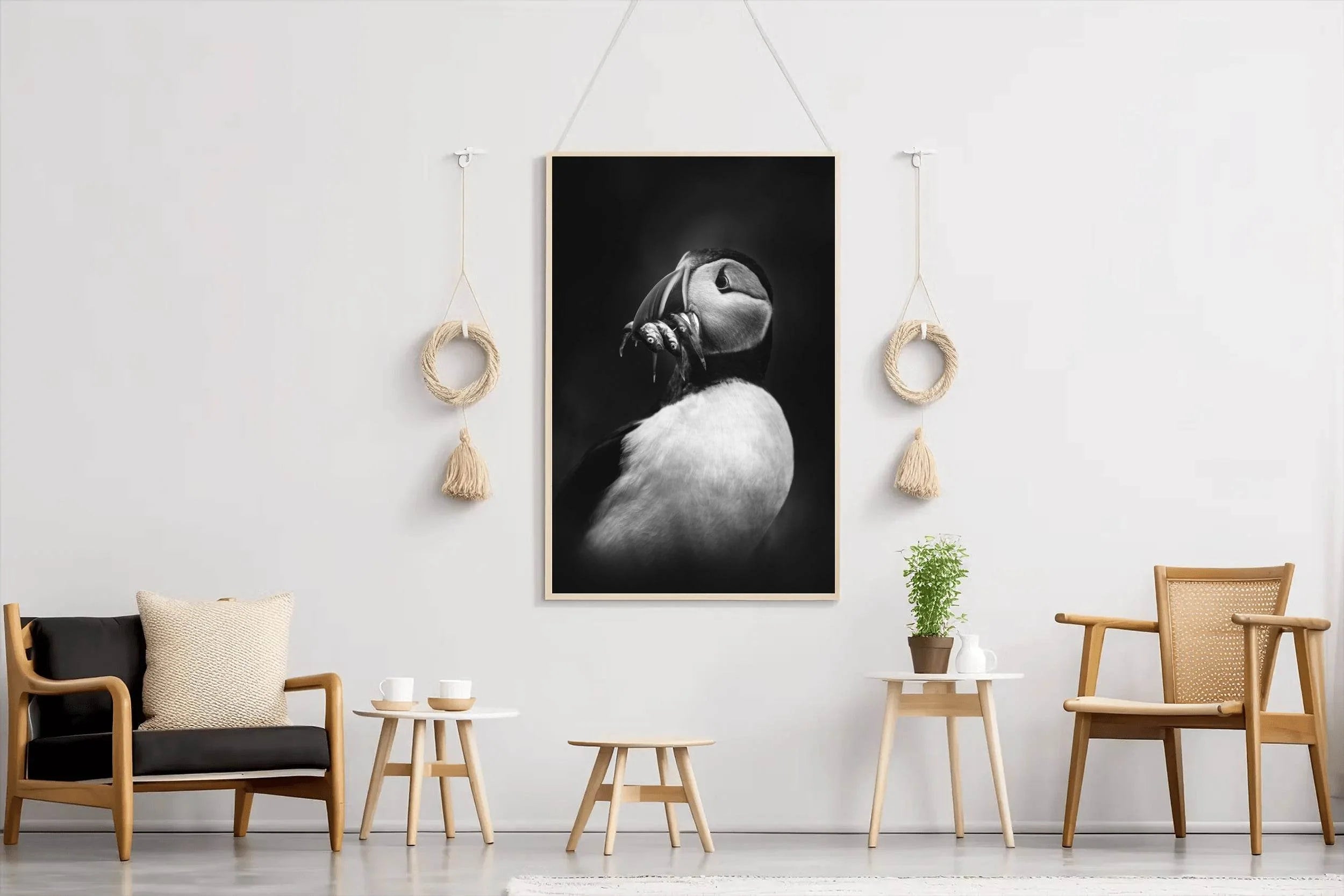 Atlantic Puffin Black & White Wall Art - beink online art store