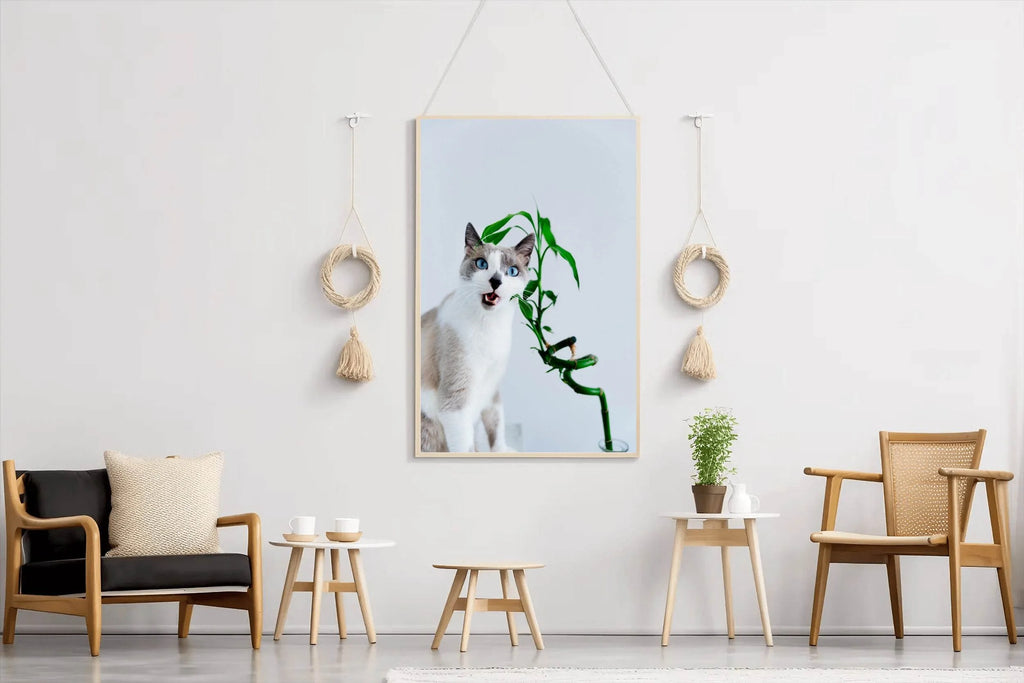Siamese Cat Animal Wall Art - beink online art store