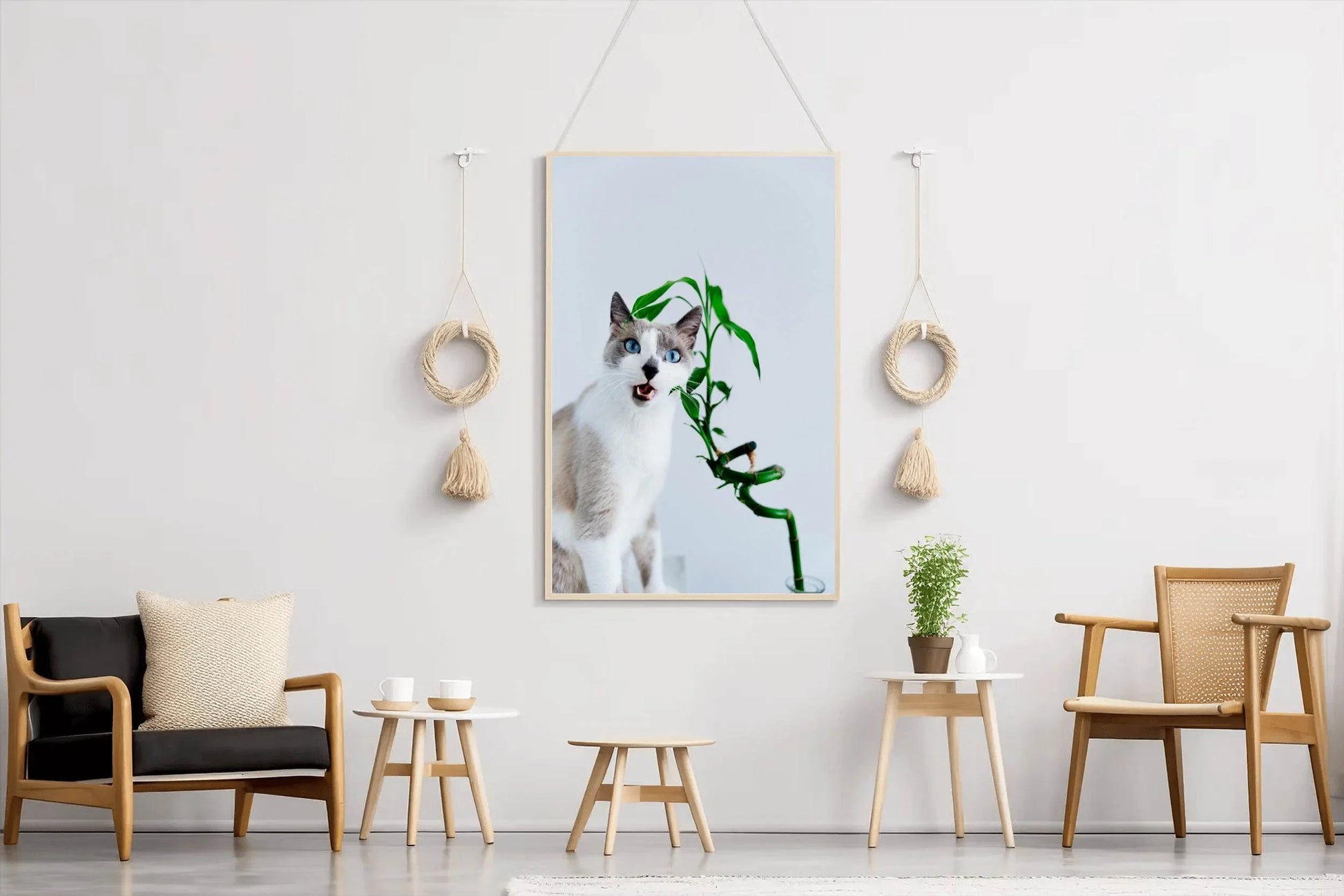 Siamese Cat Animal Wall Art - beink online art store