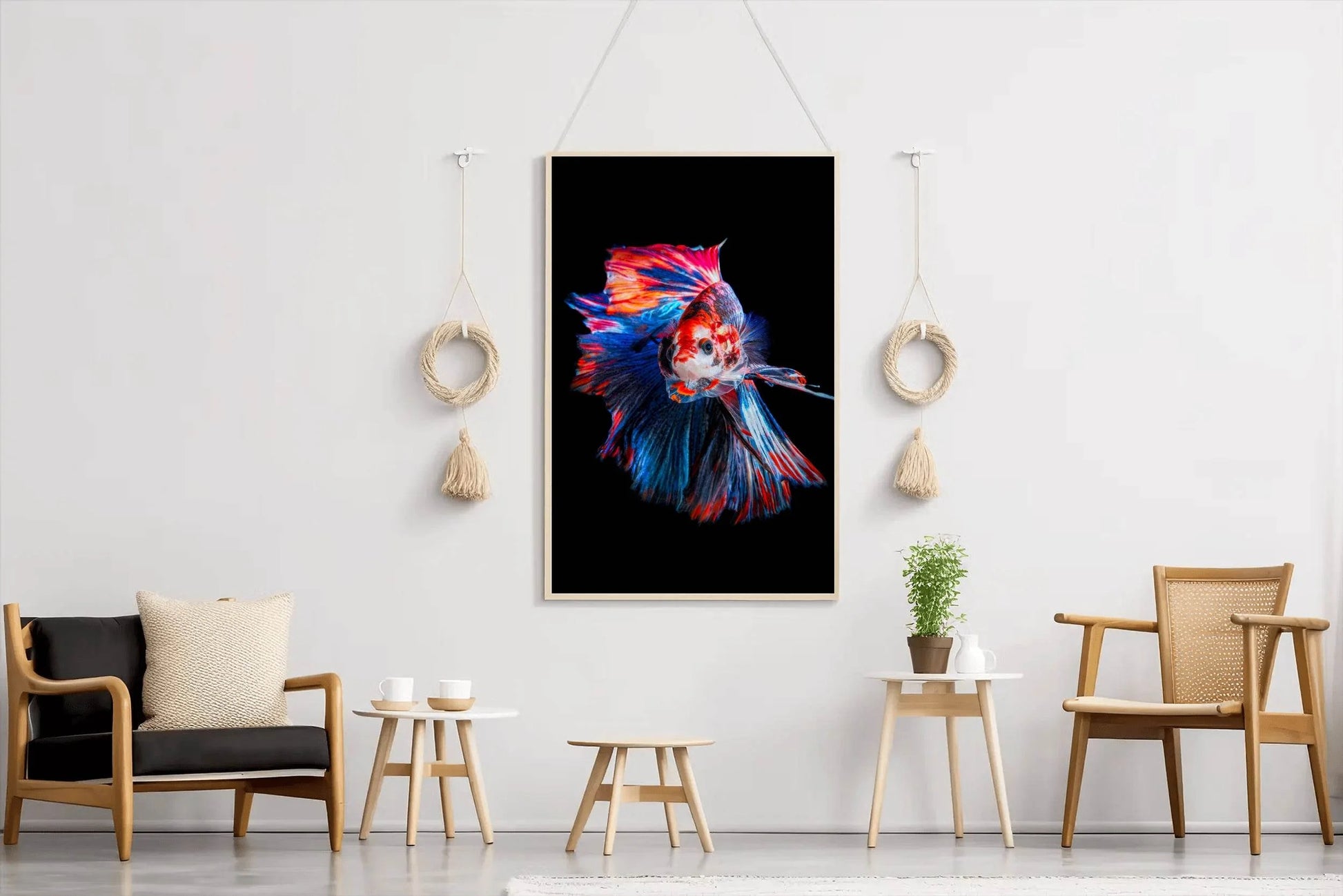 Siamese Fighting Fish Wall Art - beink online art store