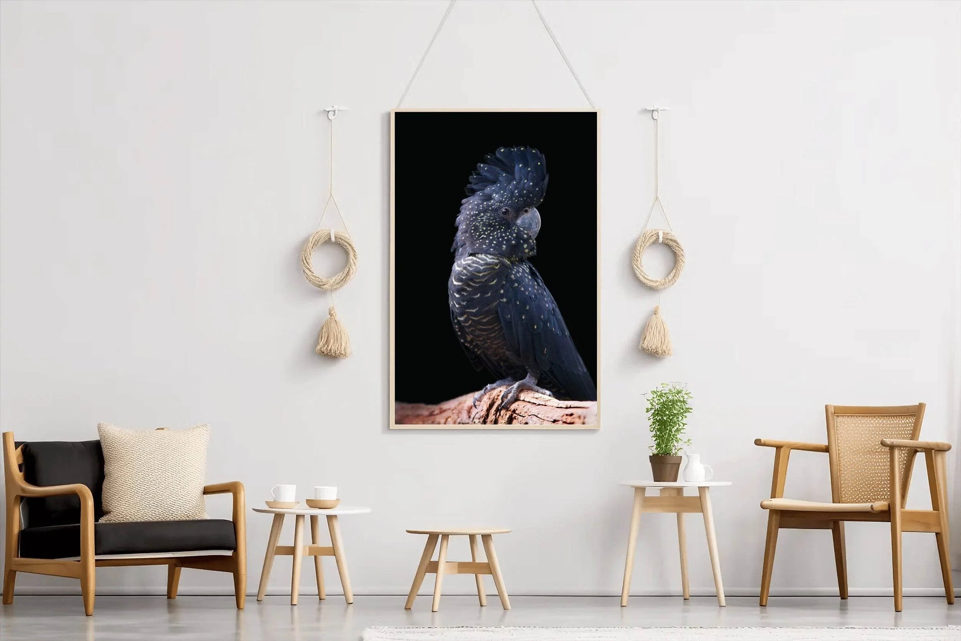 Red-Tailed Black Cockatoo Bird Wall Art - beink online art store
