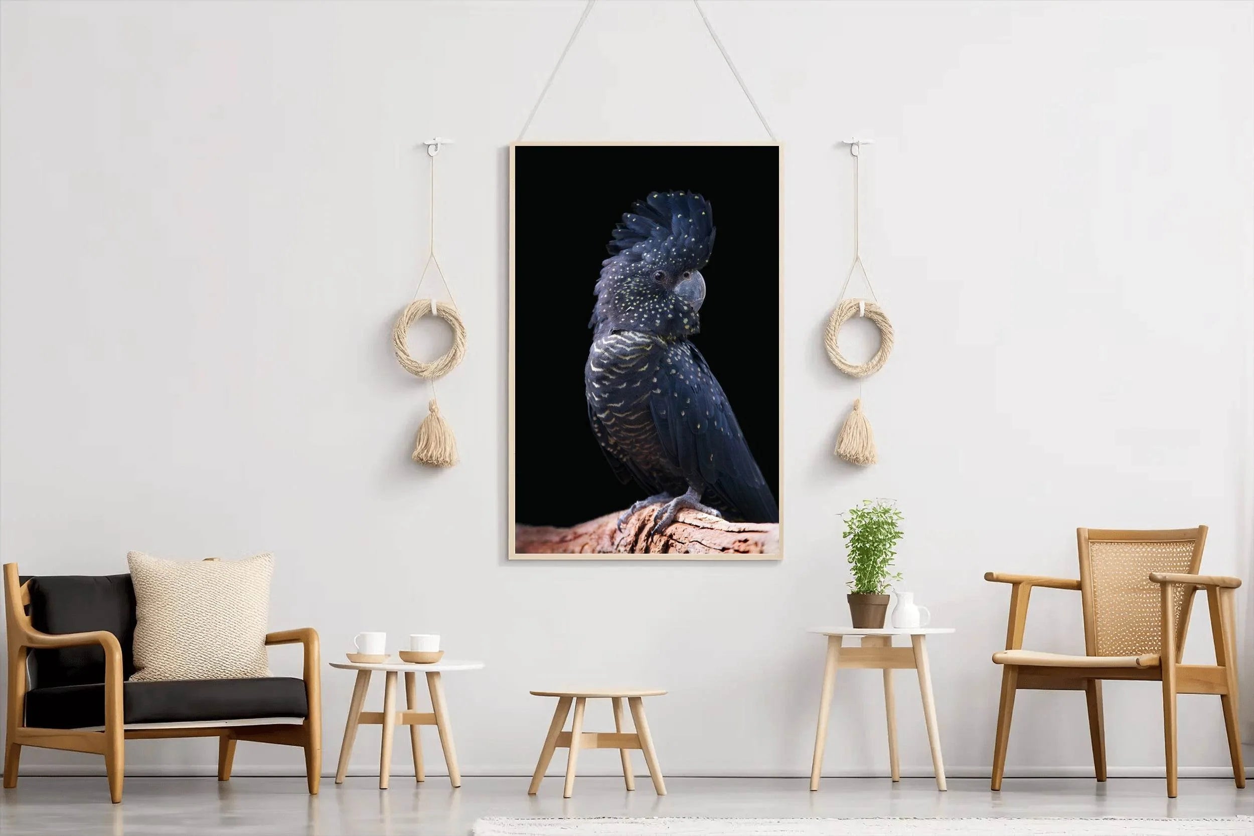 Red-Tailed Black Cockatoo Bird Wall Art - beink online art store