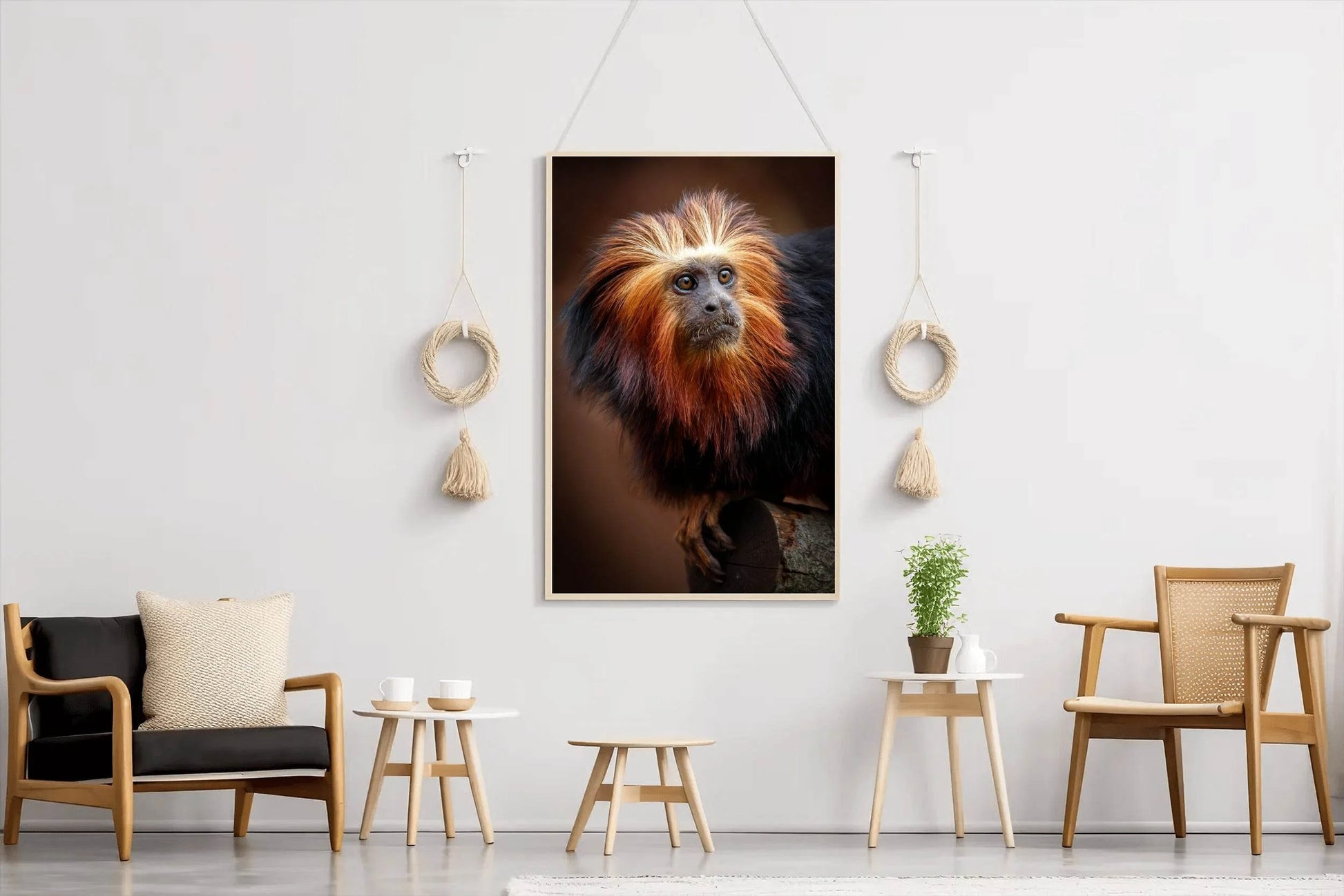 Golden Marmoset Monkey Wall Art - beink online art store