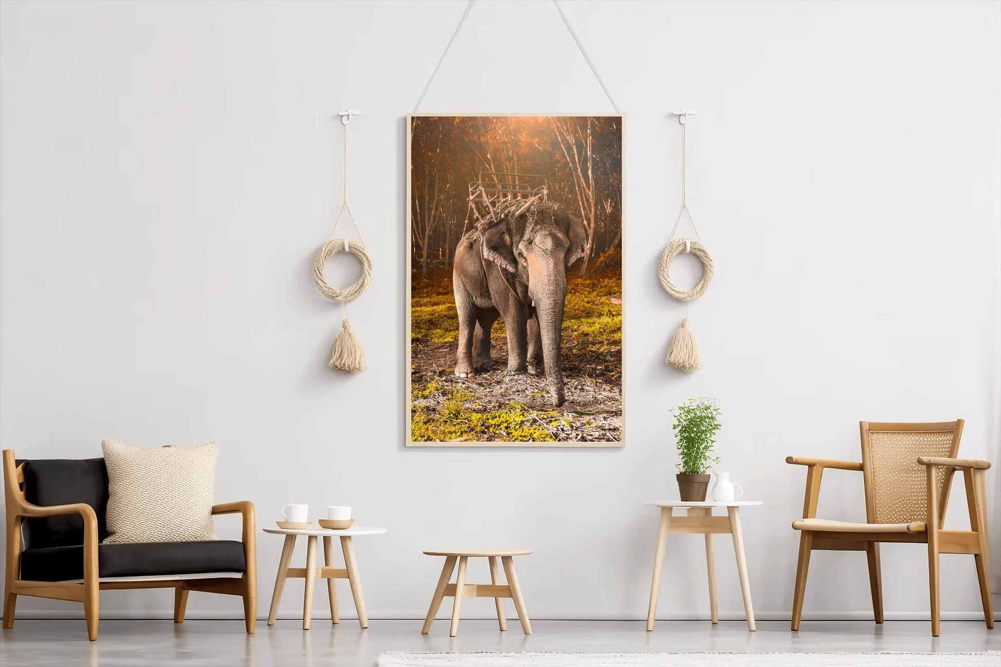 Indian Elephant Animal Wall Art - beink online art store