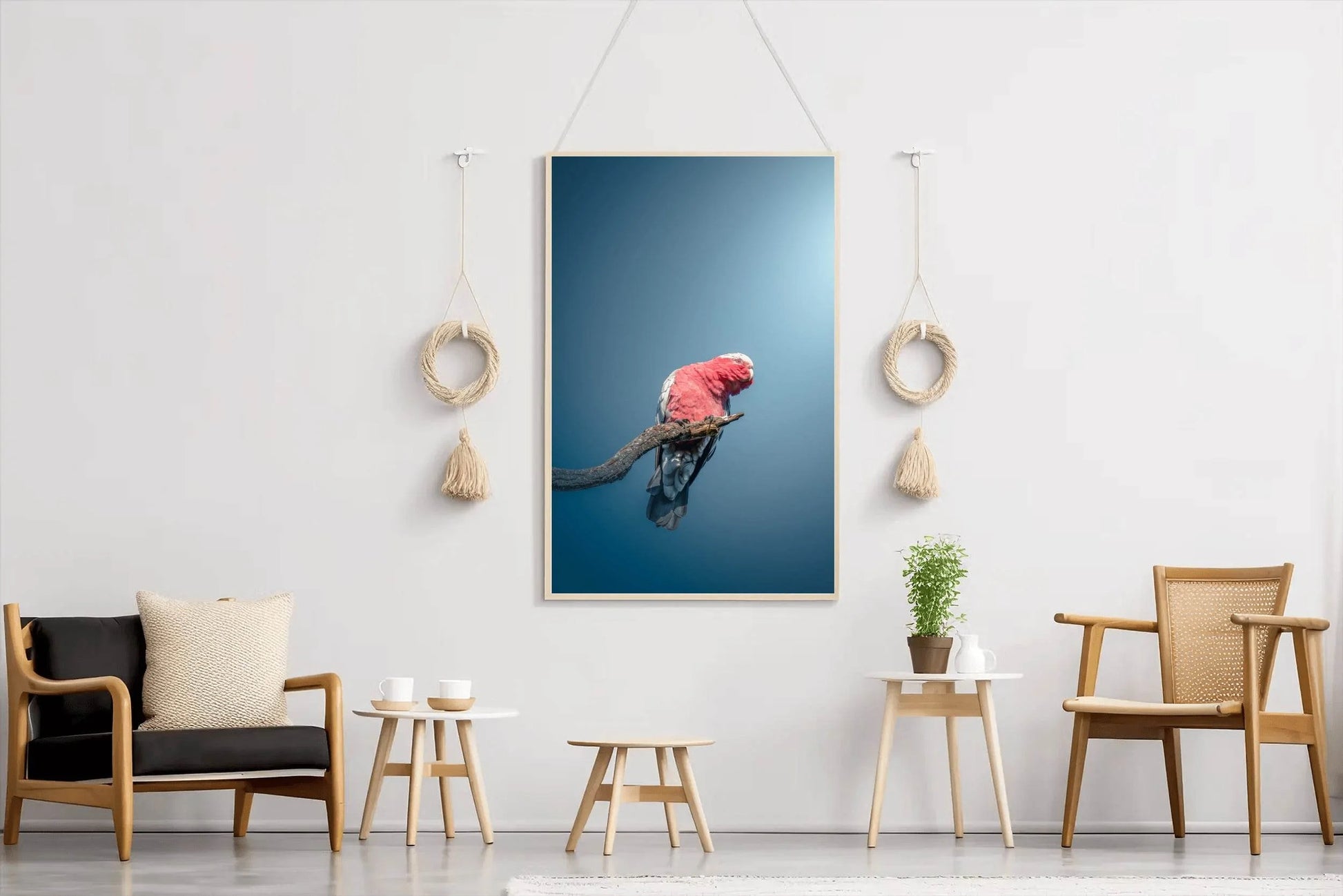 Galah Bird Wall Art - beink online art store