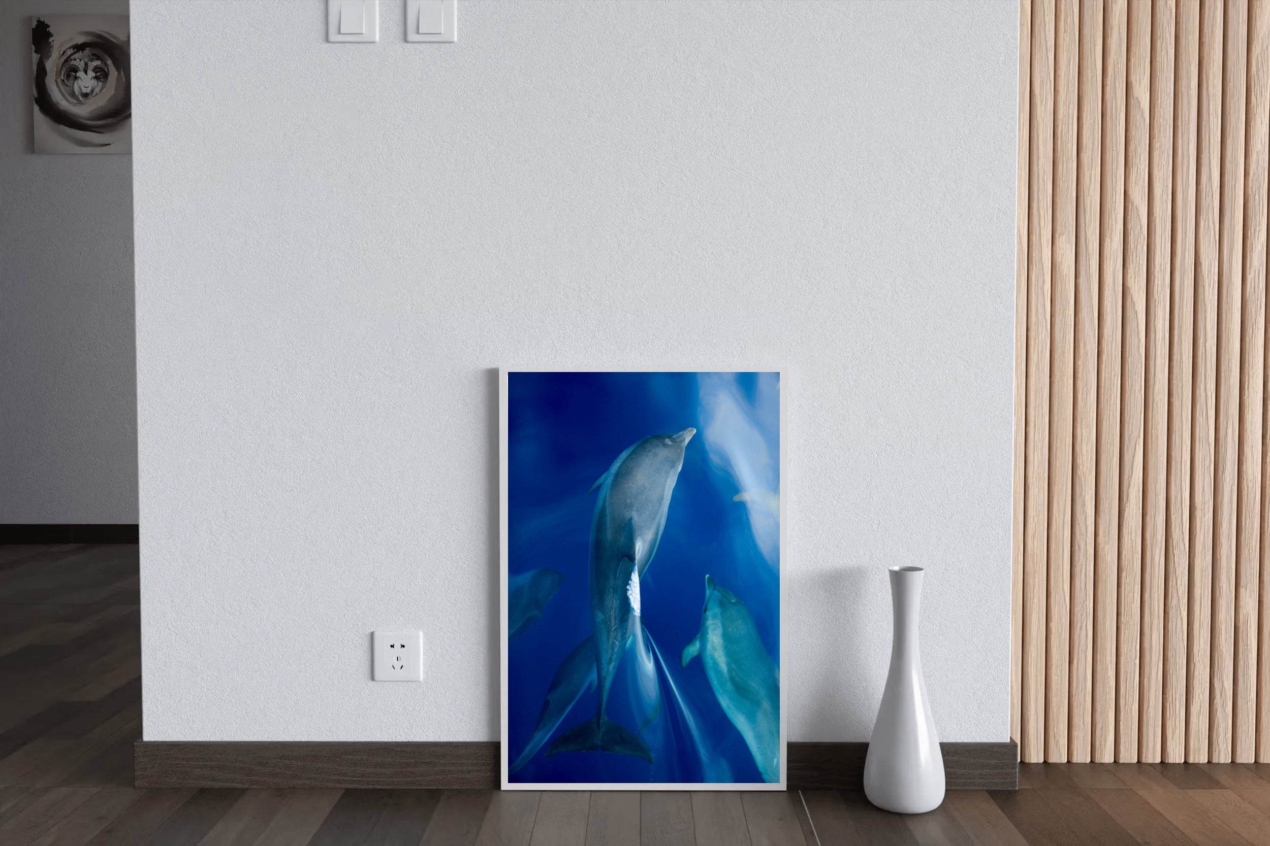 Common Bottlenose Dolphin Wall Art - beink online art store