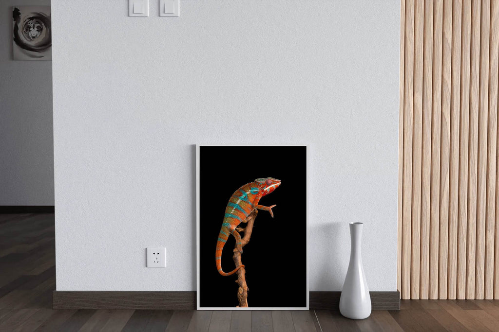 Panther Chameleon Animal Wall Art - beink online art store