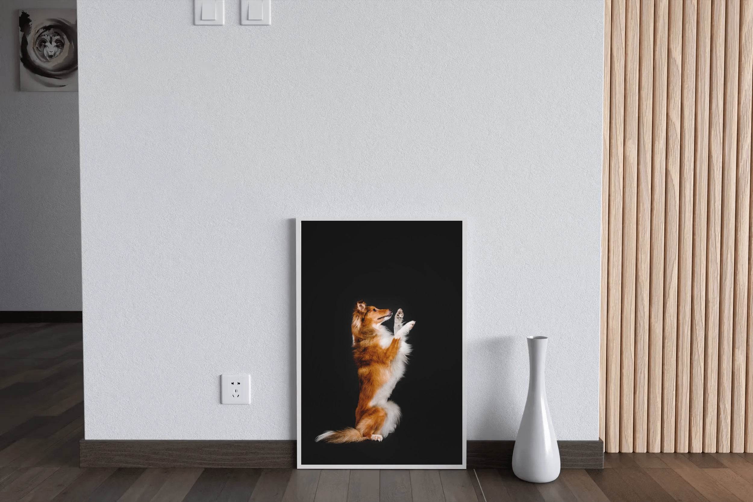 Rough Collie Animal Wall Art - beink online art store