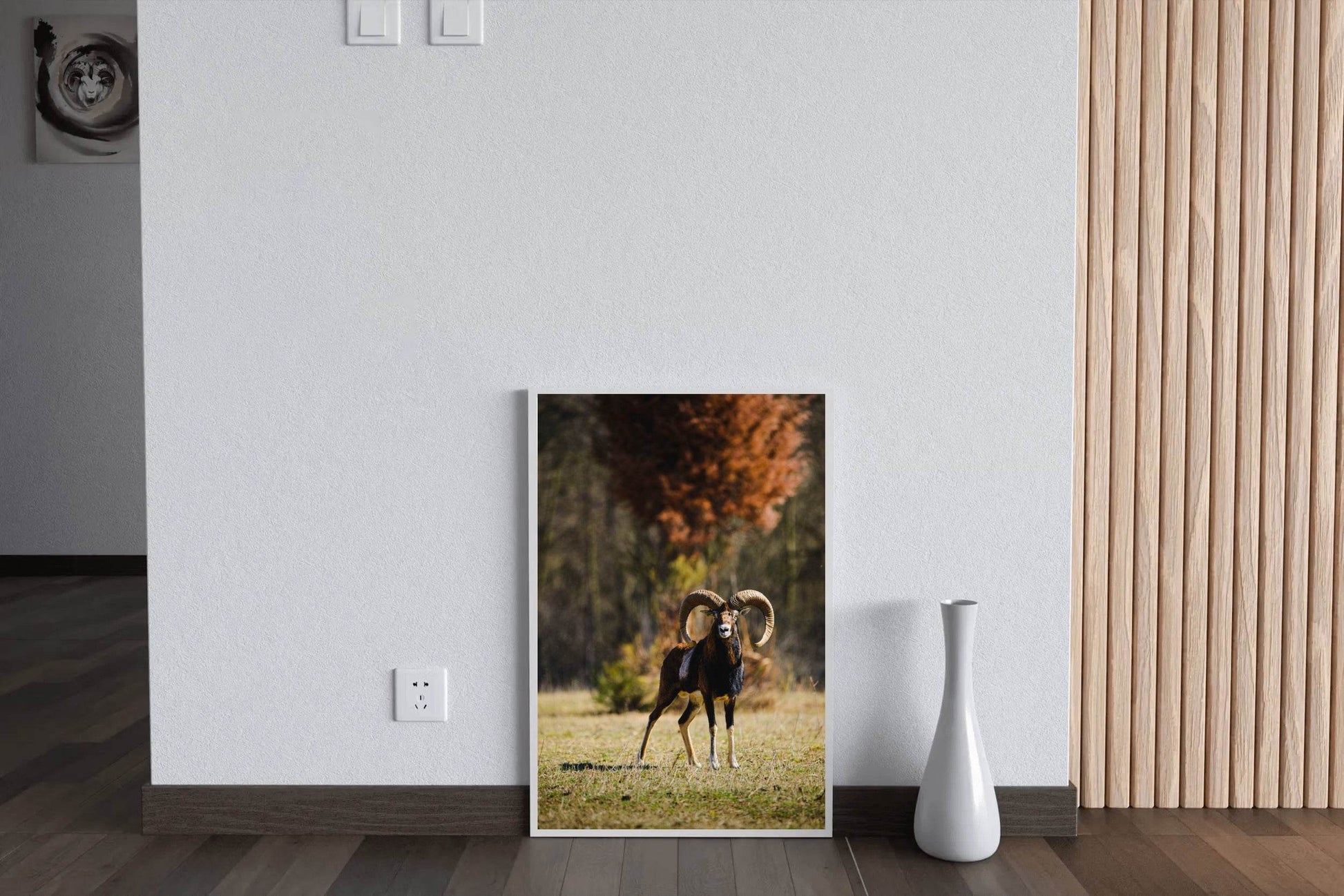 European Mouflon Animal Wall Art - beink online art store