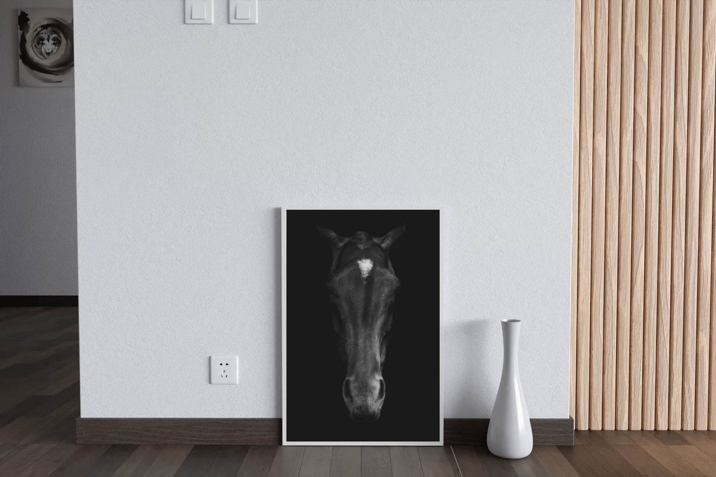 Stallion Black & White Wall Art - beink online art store
