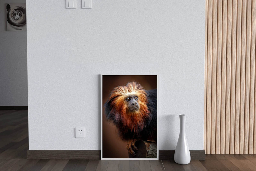 Golden Marmoset Monkey Wall Art - beink online art store