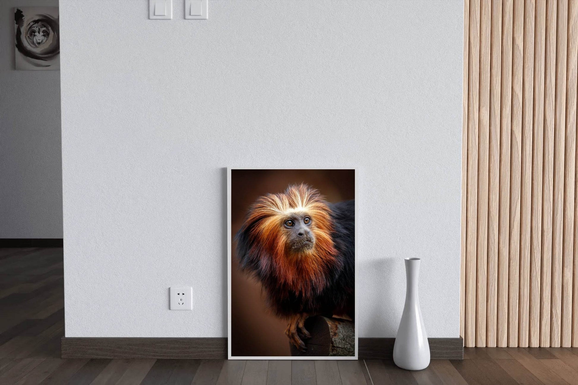 Golden Marmoset Monkey Wall Art - beink online art store
