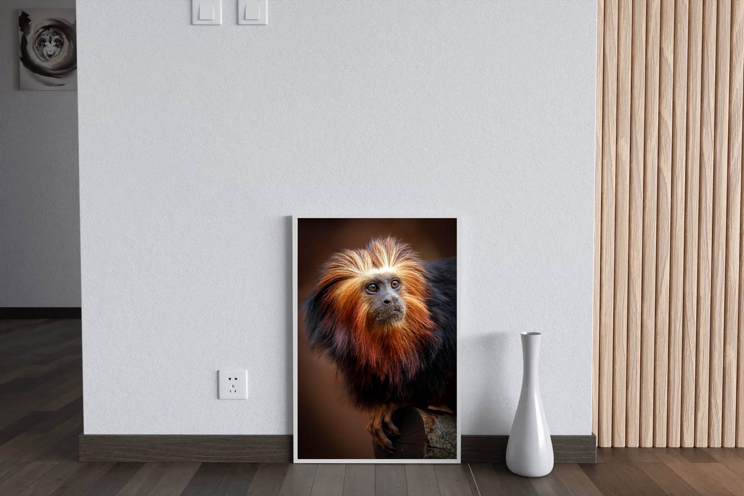 Golden Marmoset Monkey Wall Art - beink online art store