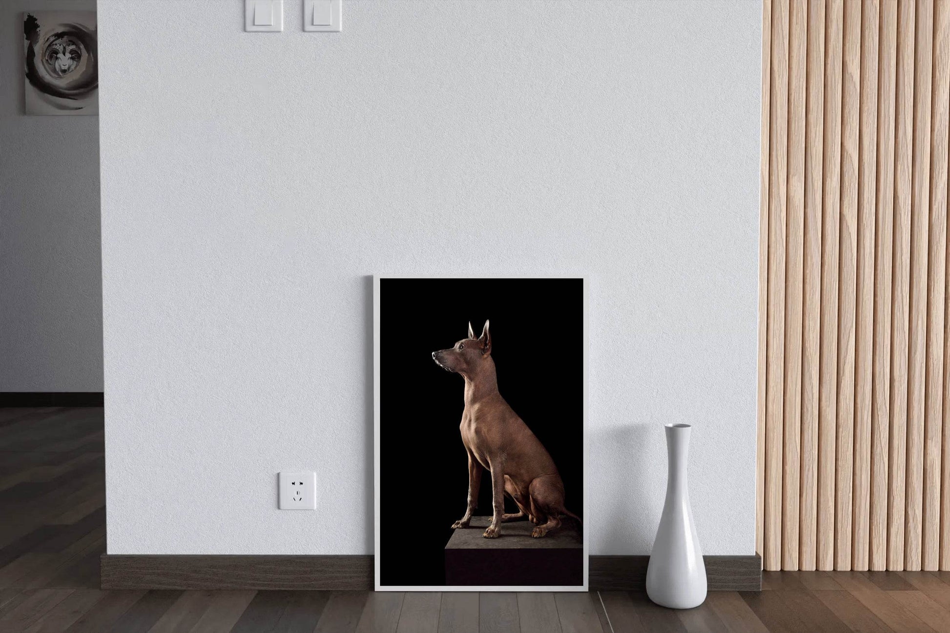 Peruvian Inca Orchid Dog Picture Wall Art - beink online art store
