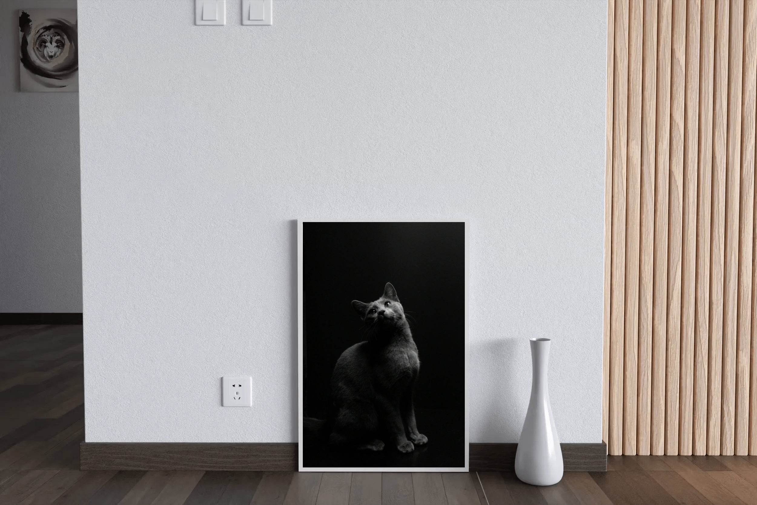 Russian Blue Cat Black & White Wall Art - beink online art store