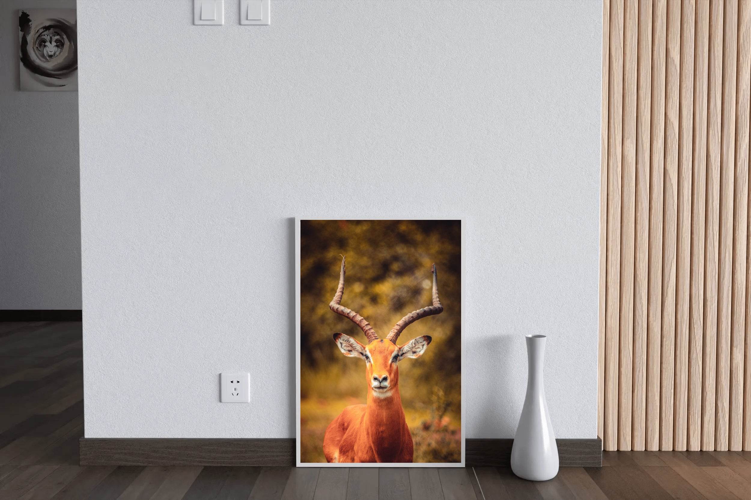 Impala Animal Wall Art - beink online art store