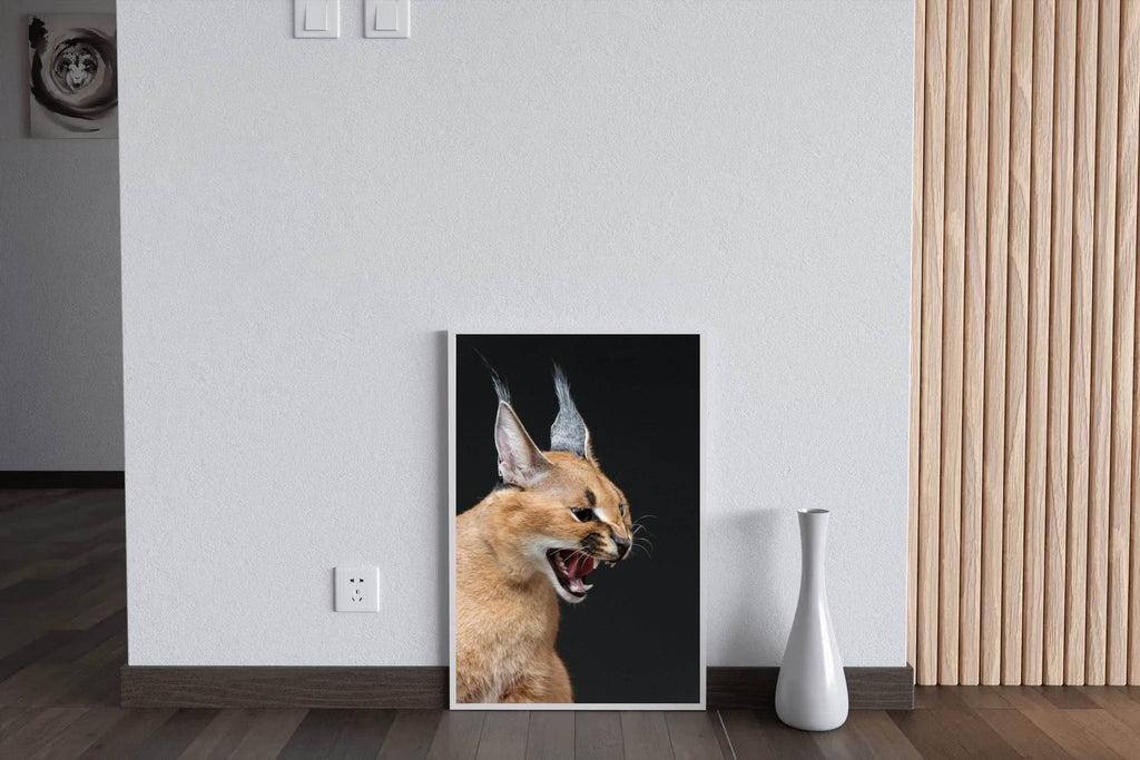 Caracal Wild Cat Animal Wall Art - beink online art store