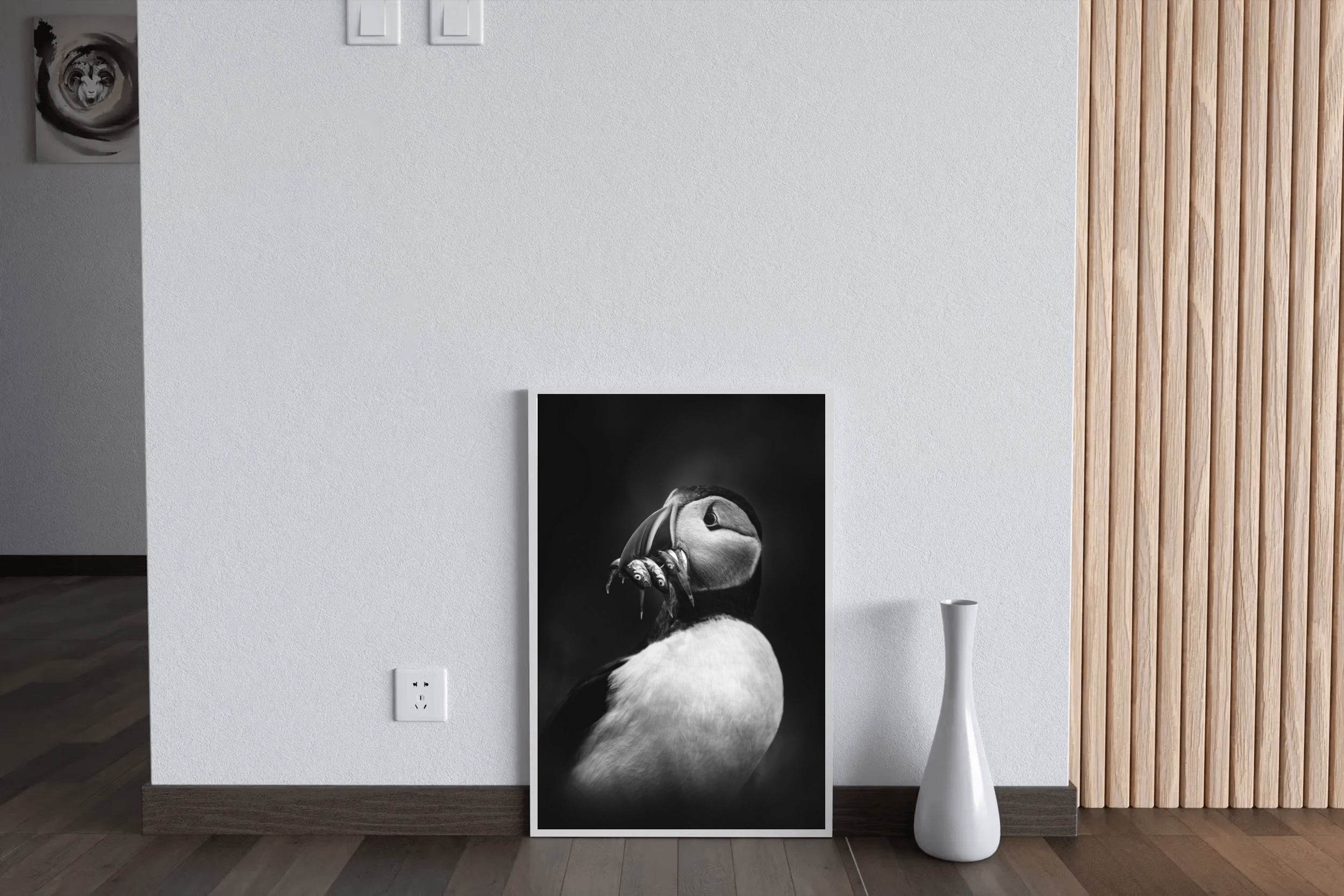 Atlantic Puffin Black & White Wall Art - beink online art store