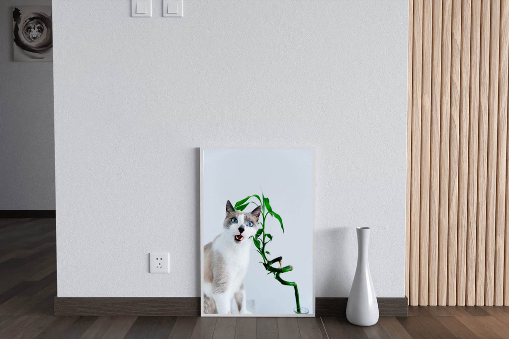 Siamese Cat Animal Wall Art - beink online art store