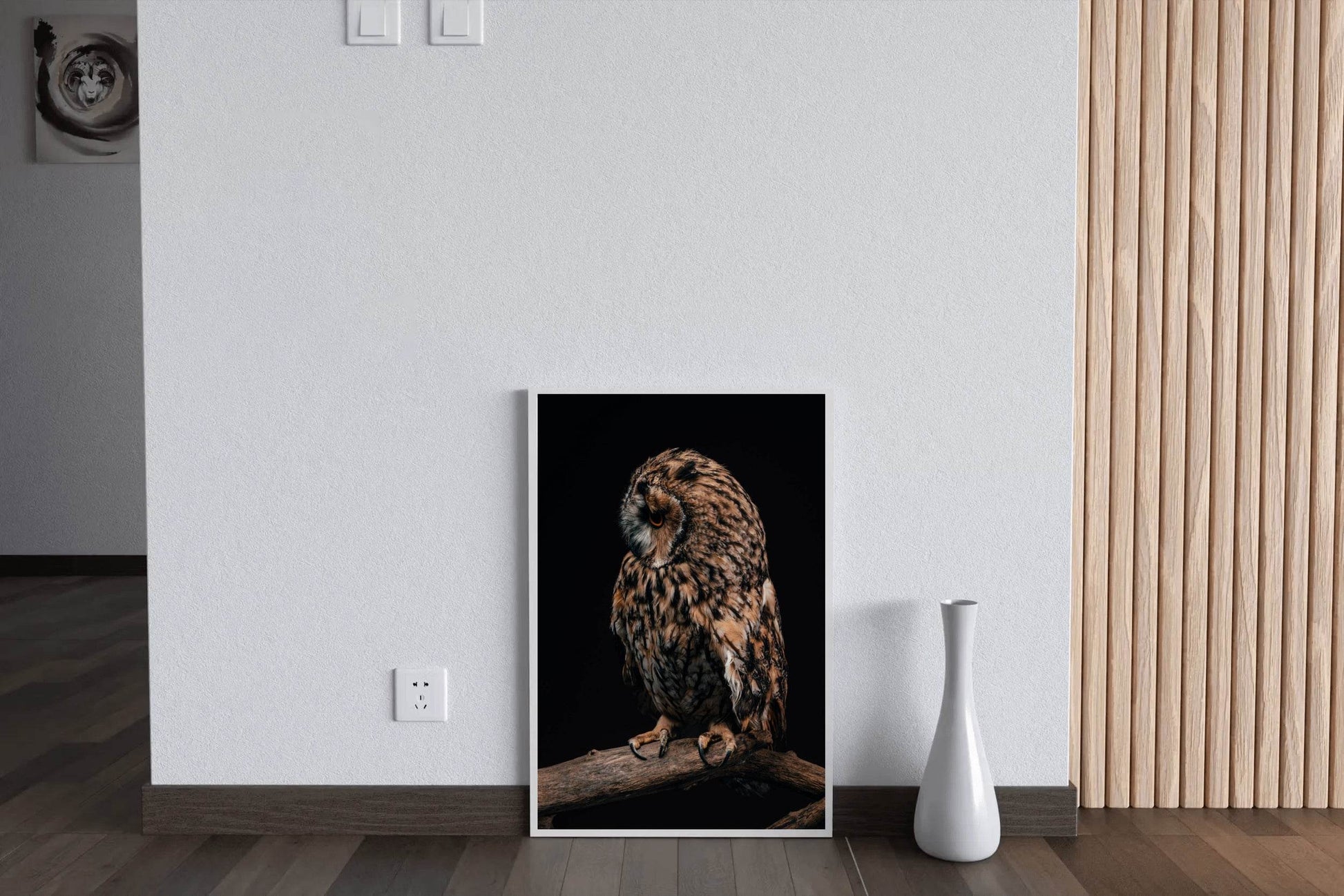 Long-Eared Owl Animal Wall Art - beink online art store