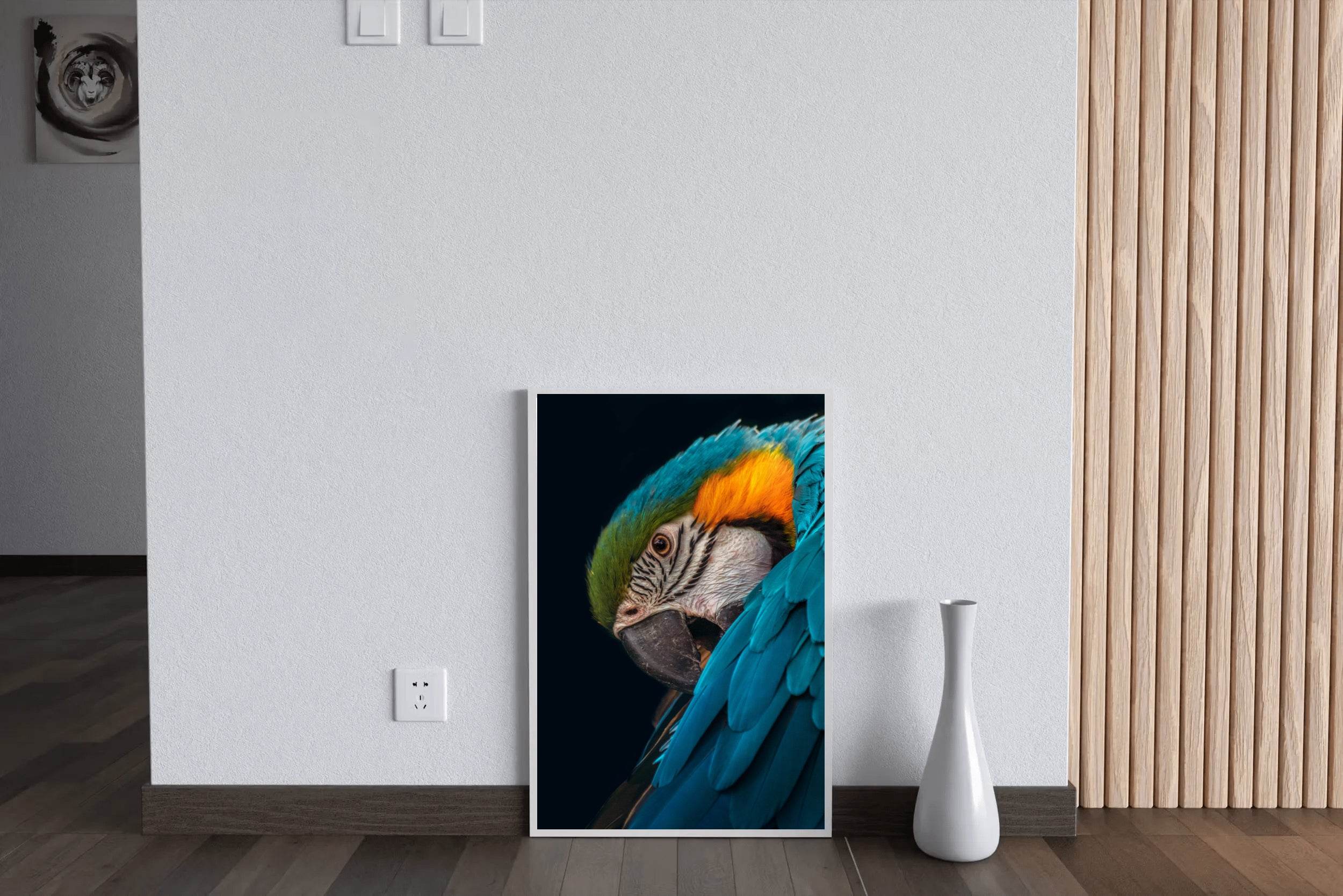 Closeup of Macaw Bird Wall Art - beink online art store