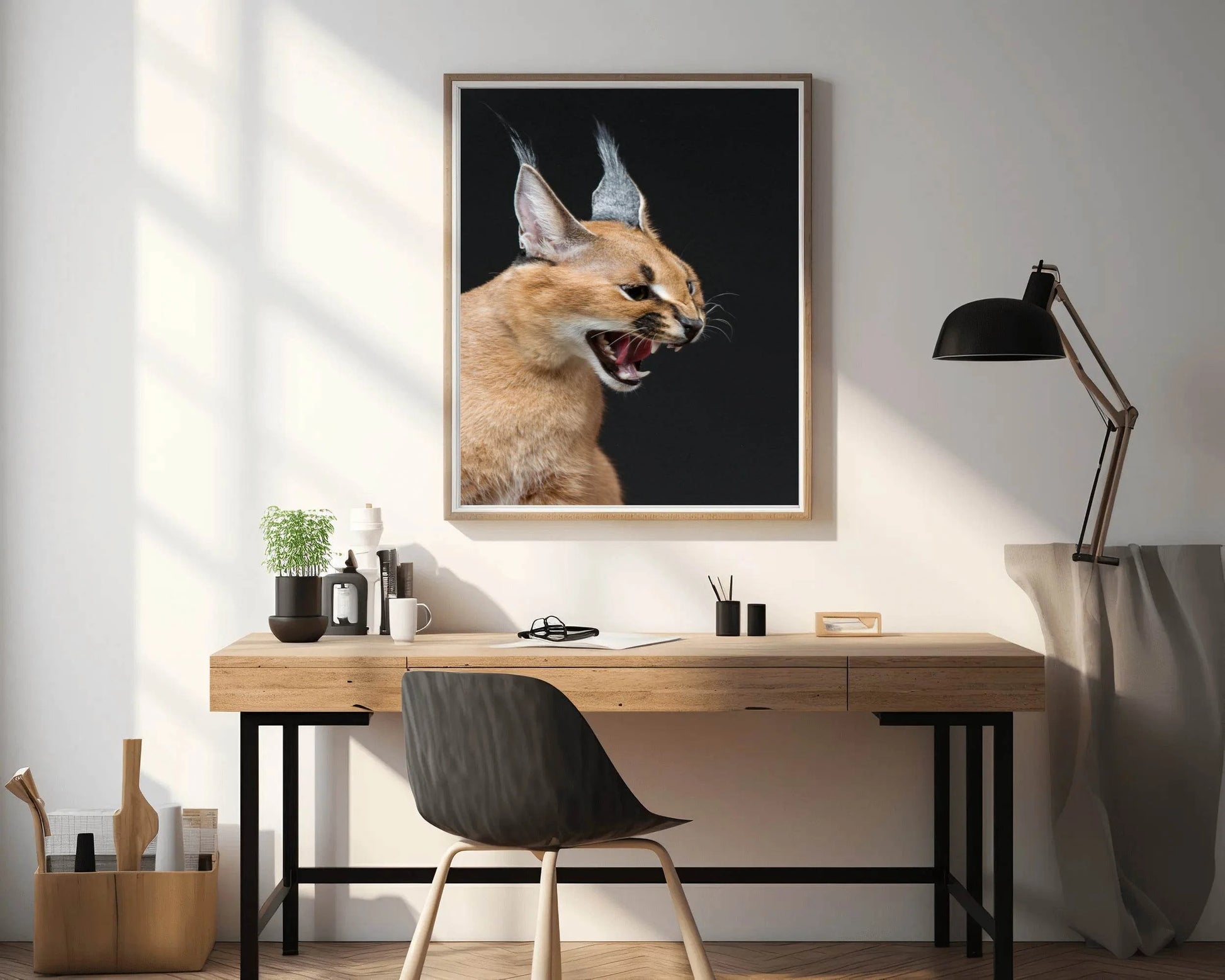 Caracal Wild Cat Animal Wall Art - beink online art store