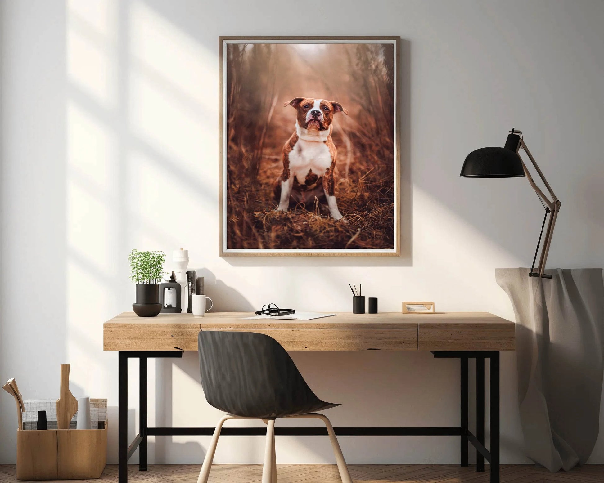 Picture of Standing Pit Bull Wall Art - beink online art store