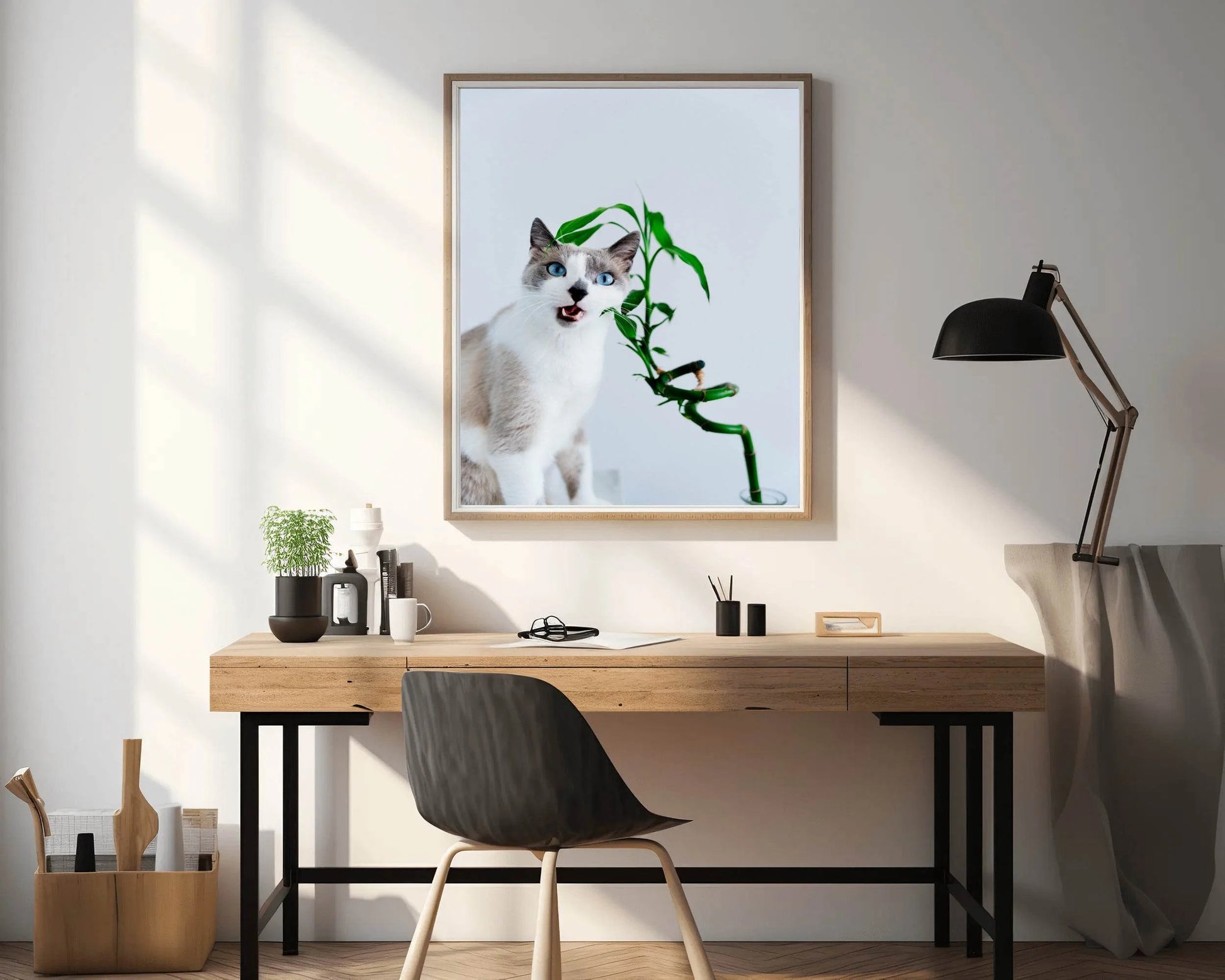 Siamese Cat Animal Wall Art - beink online art store