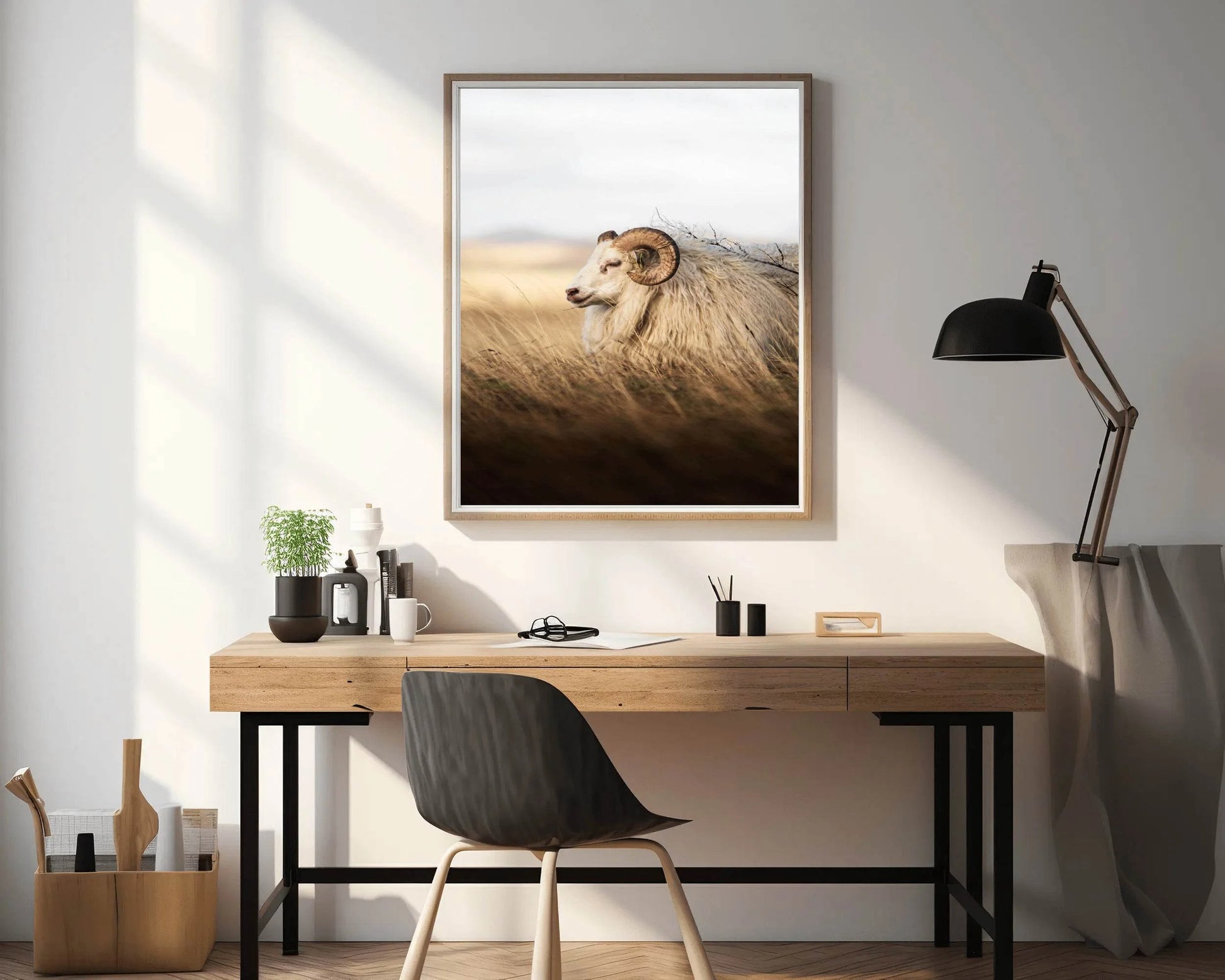 Icelandic Sheep Animal Wall Art - beink online art store