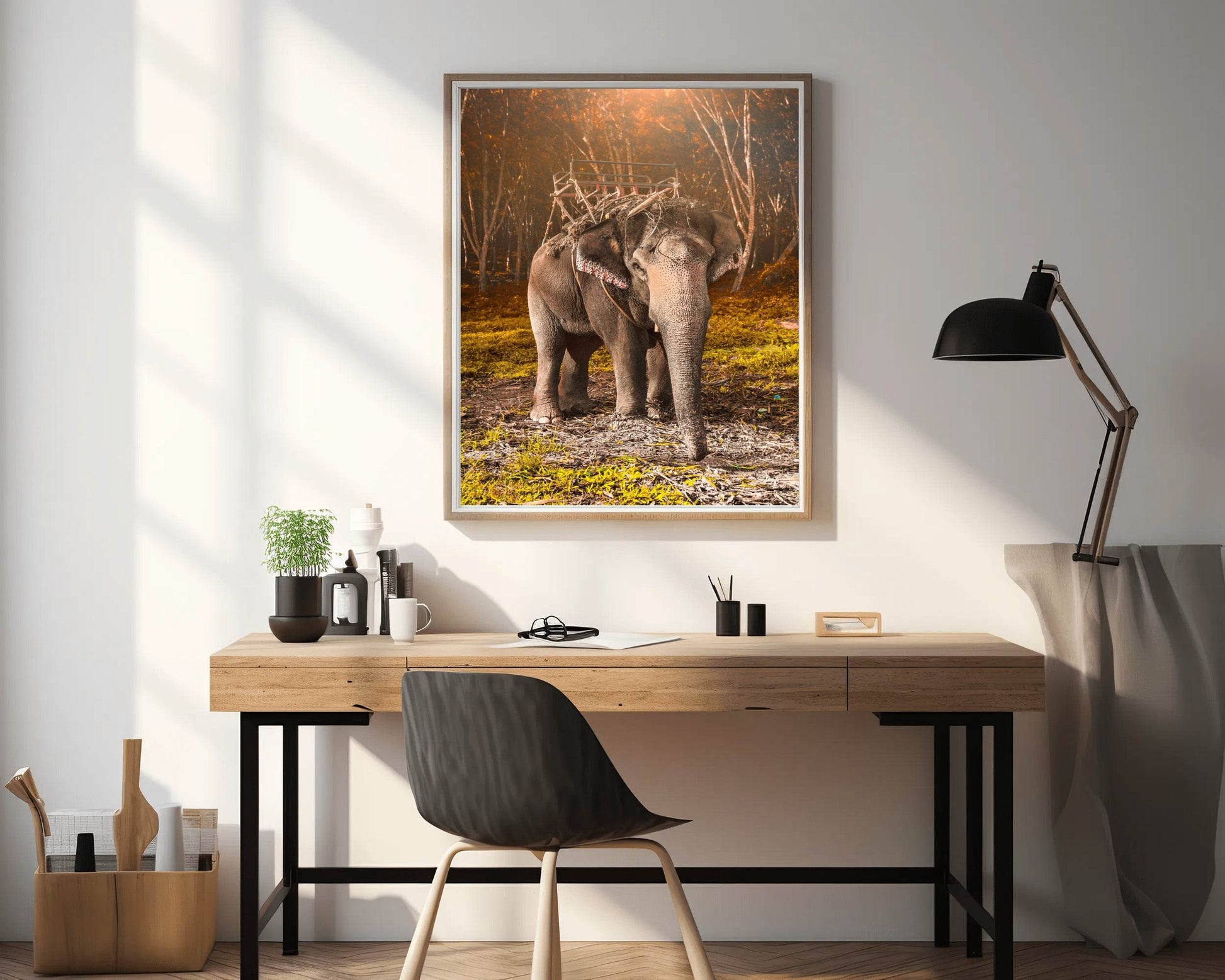Indian Elephant Animal Wall Art - beink online art store