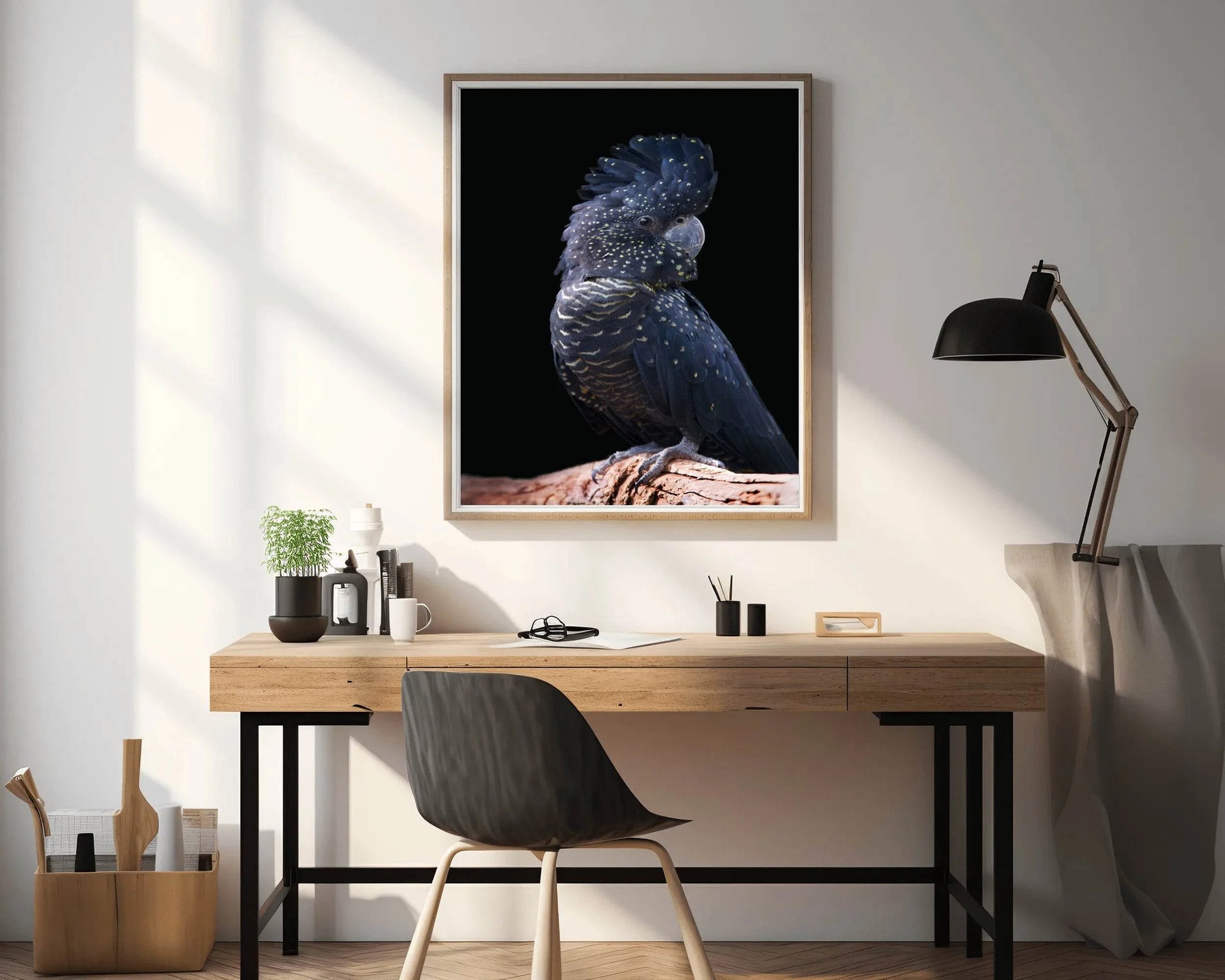 Red-Tailed Black Cockatoo Bird Wall Art - beink online art store