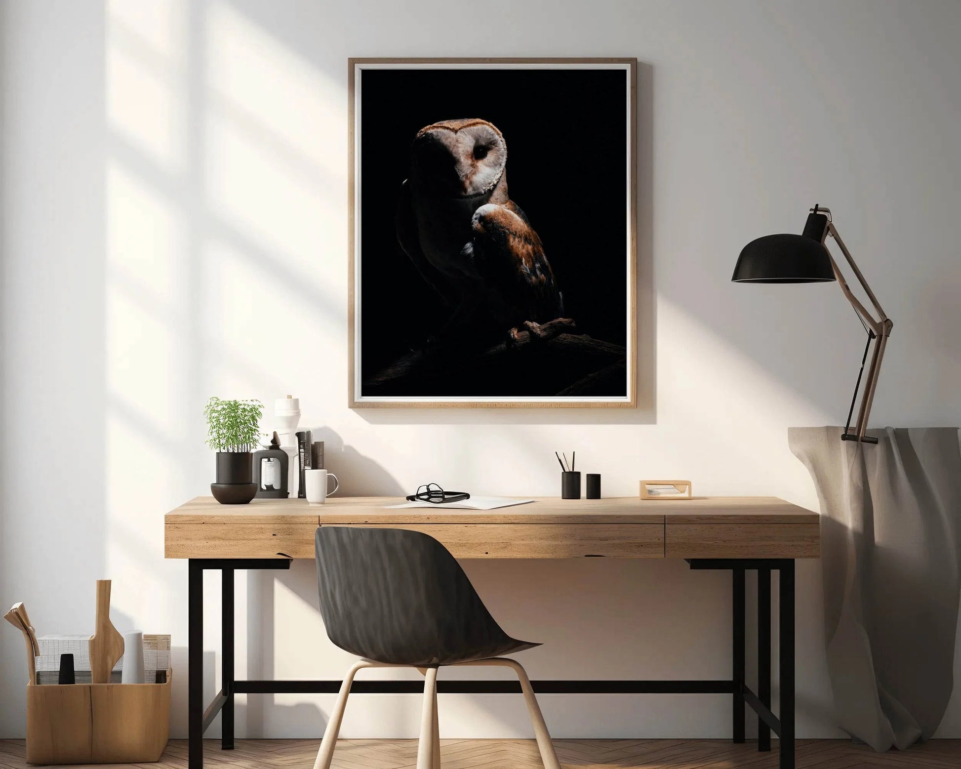 Barn Owl Bird Wall Art - beink online art store