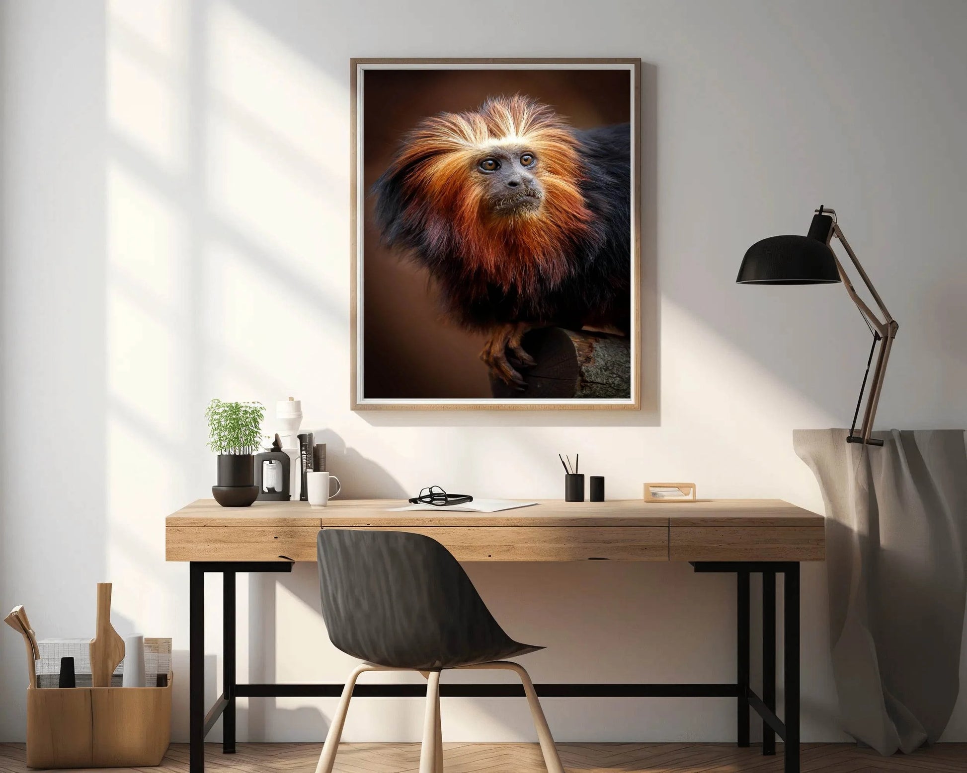 Golden Marmoset Monkey Wall Art - beink online art store