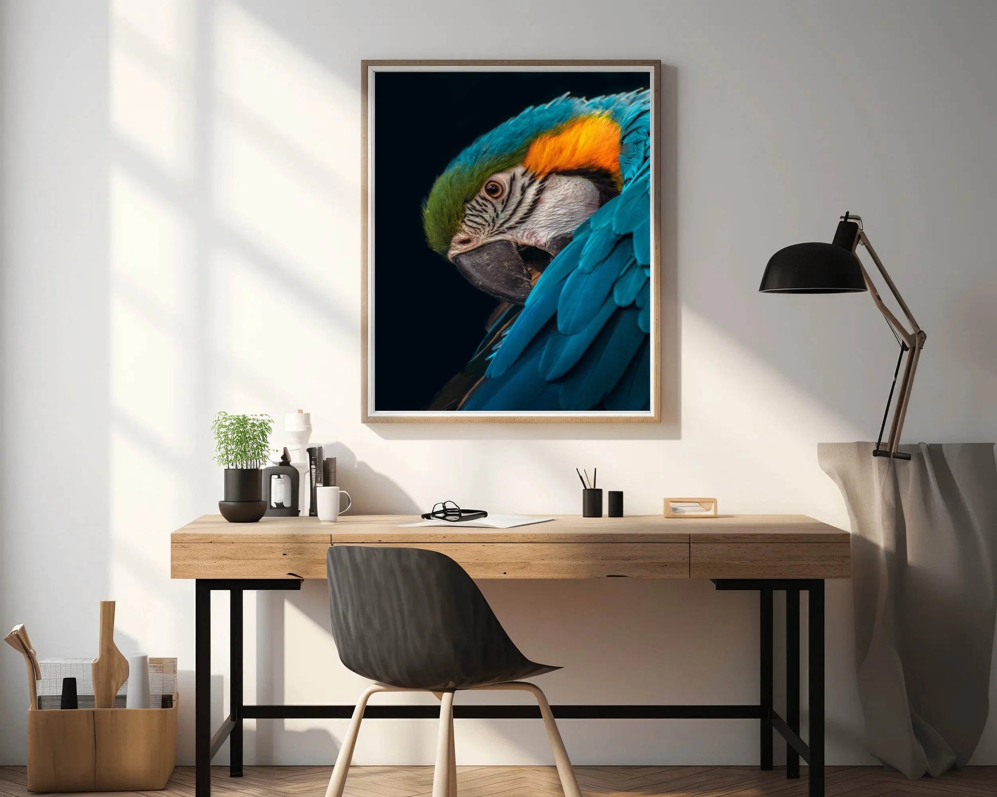 Closeup of Macaw Bird Wall Art - beink online art store