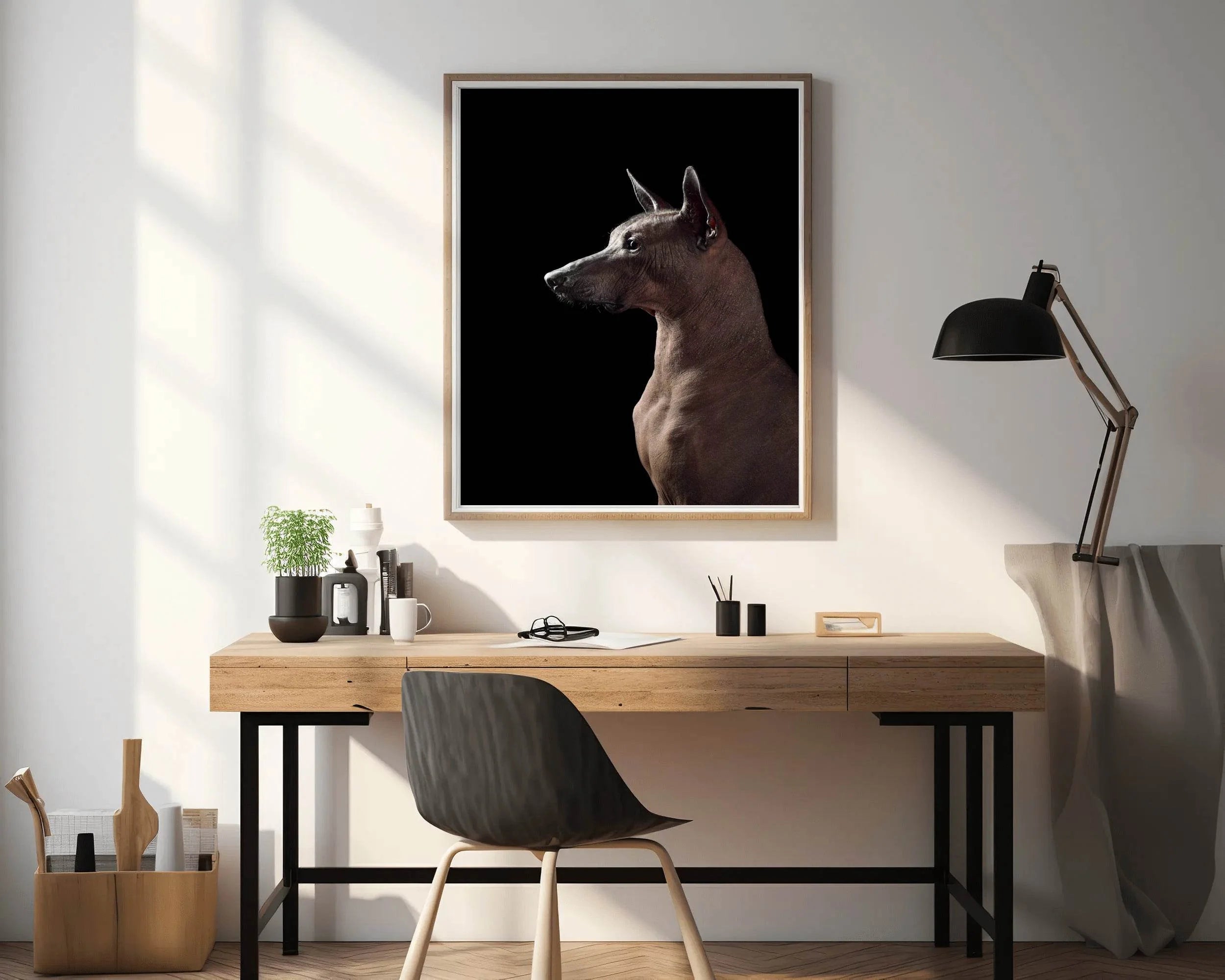 Peruvian Inca Orchid Animal Wall Art - beink online art store