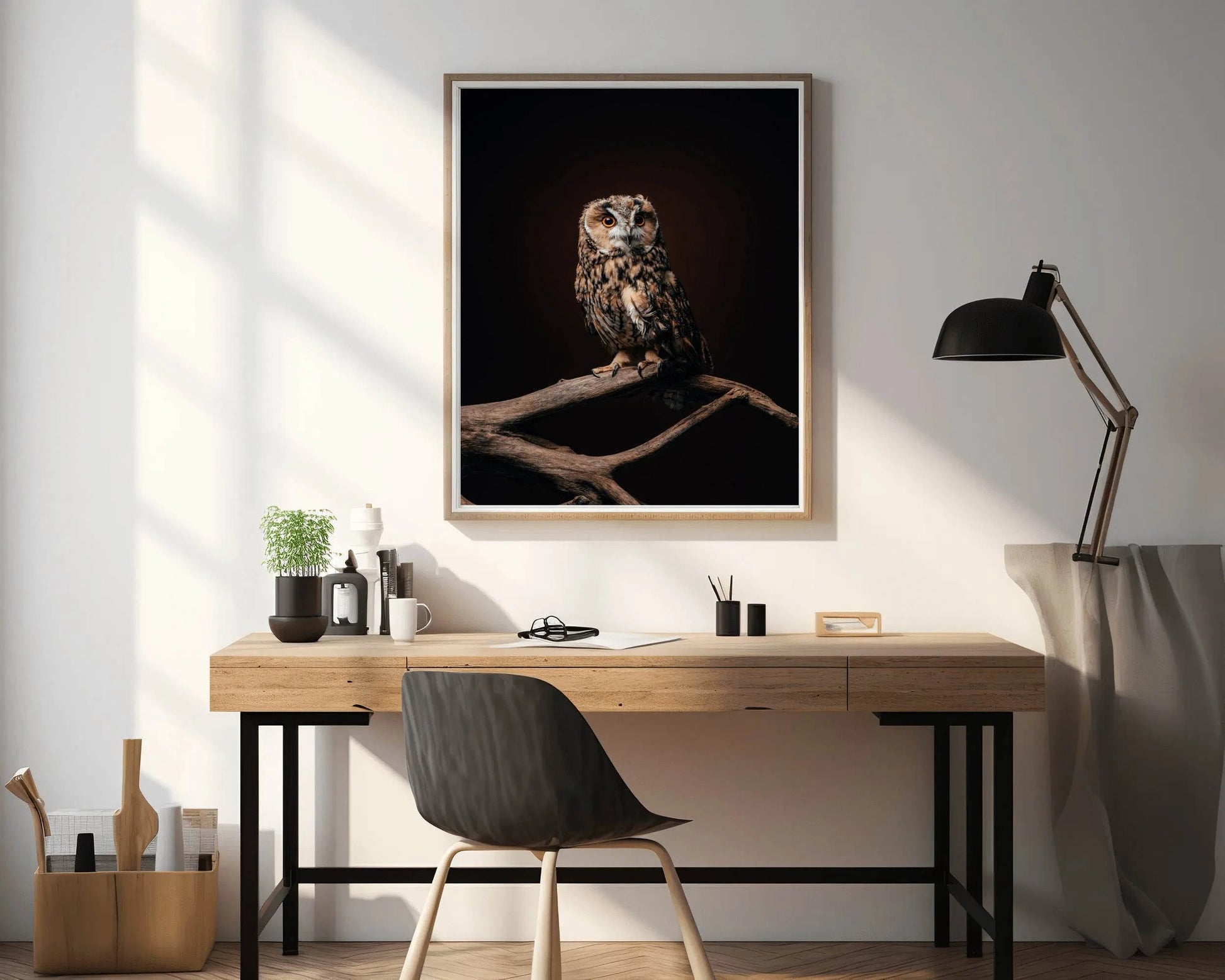 Long-Eared Owl Bird Wall Art - beink online art store