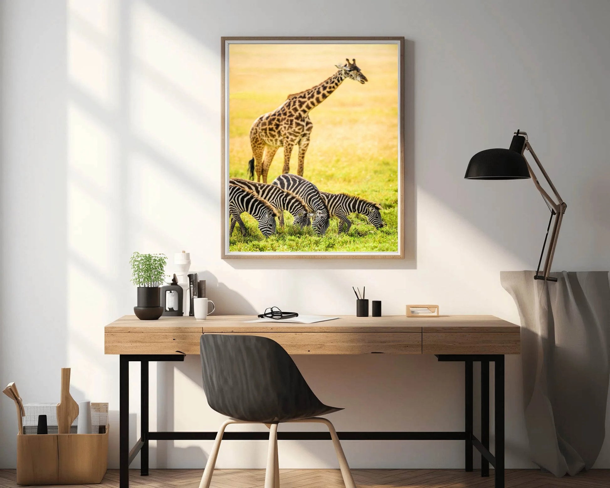 Northren Giraffe and Zebra Grazing in Savanna Wall Art - beink online art store