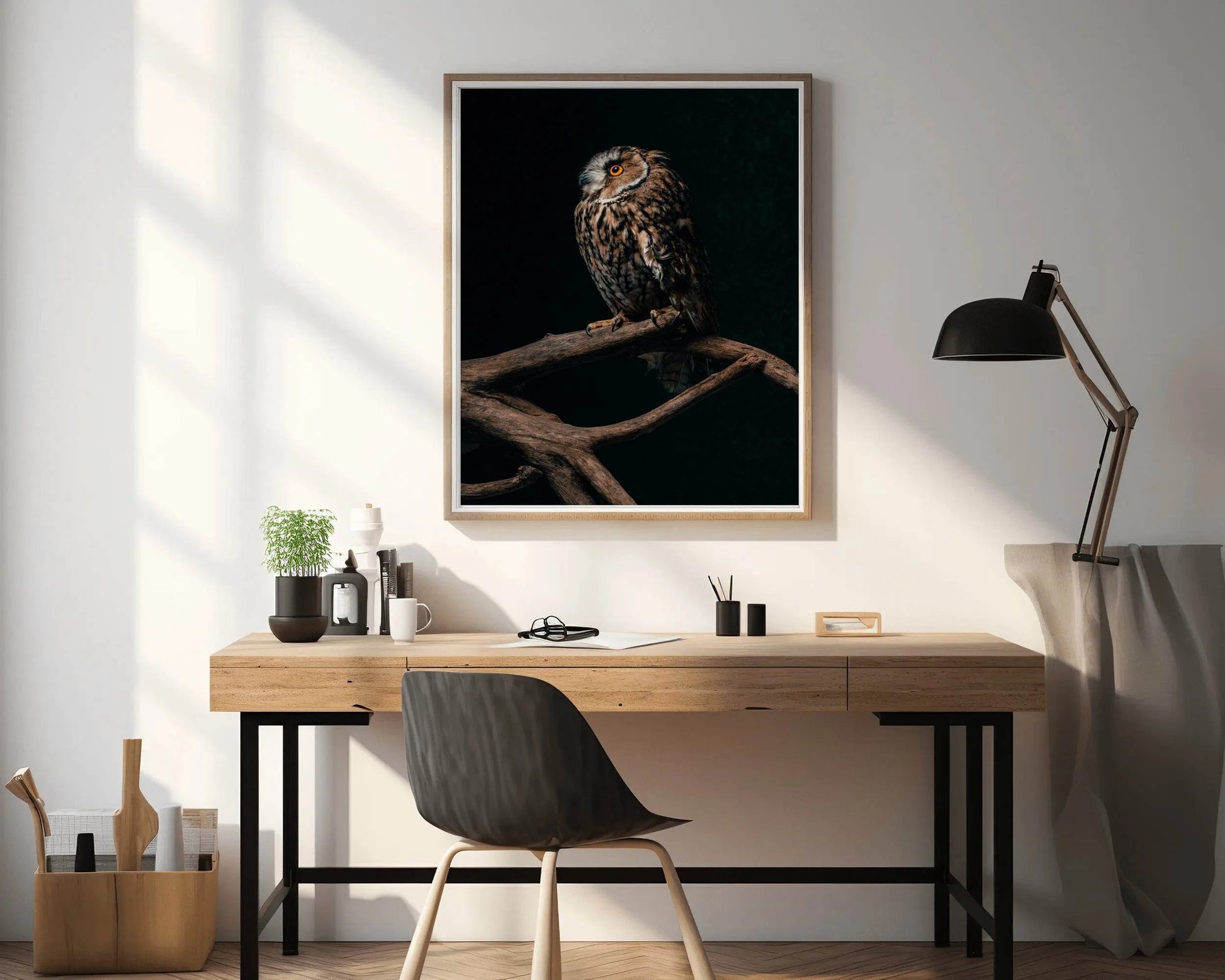 Long-Eared Owl Sitting on Branch Wall Art - beink online art store