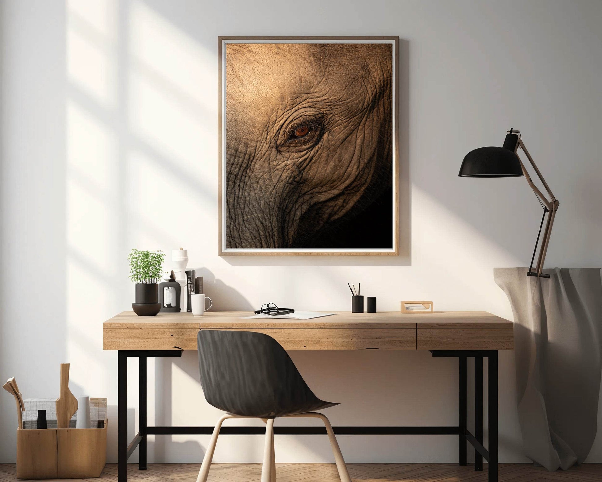 Eye of a Giant Elephant Wall Art - beink online art store
