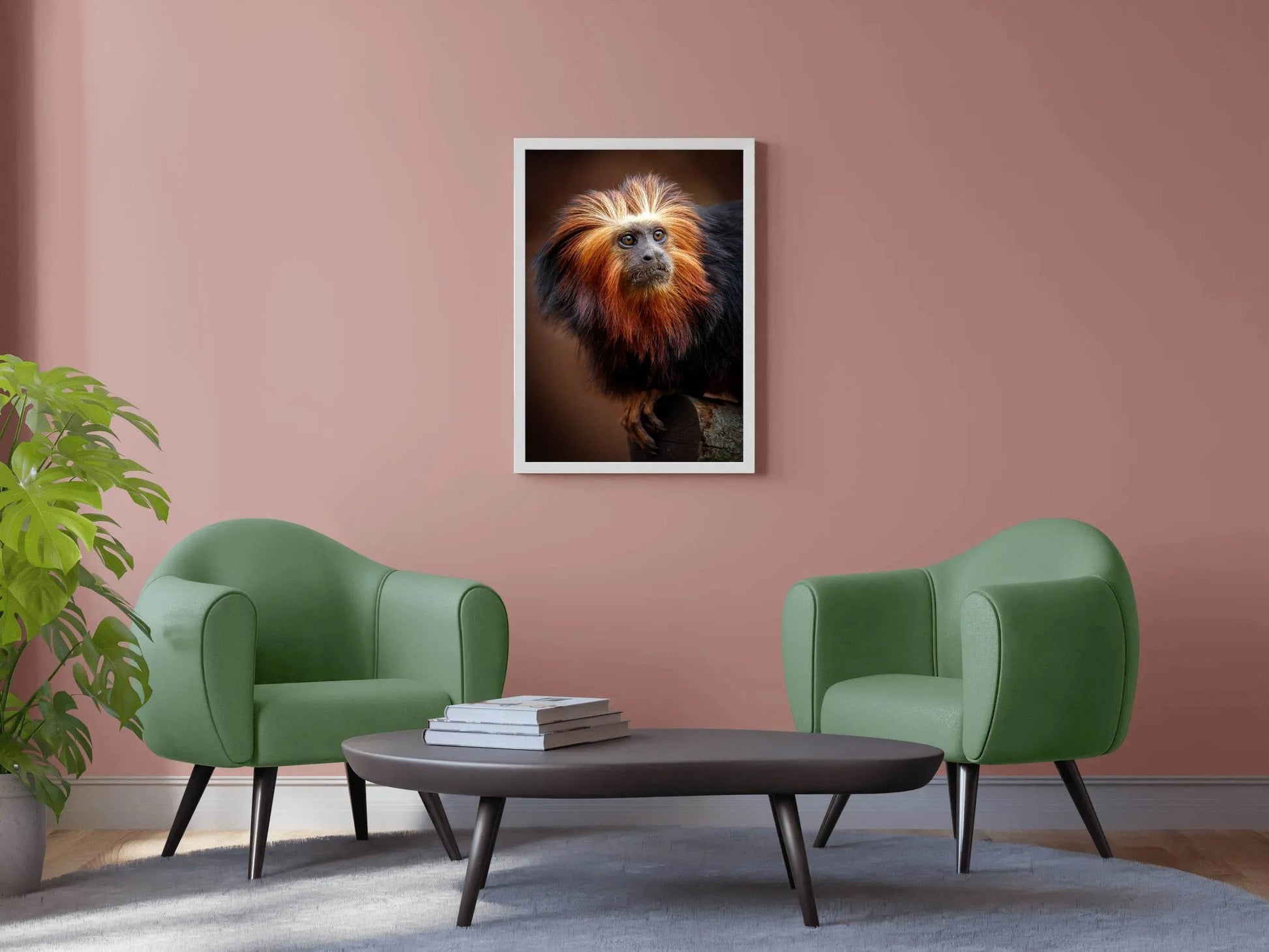 Golden Marmoset Monkey Wall Art - beink online art store