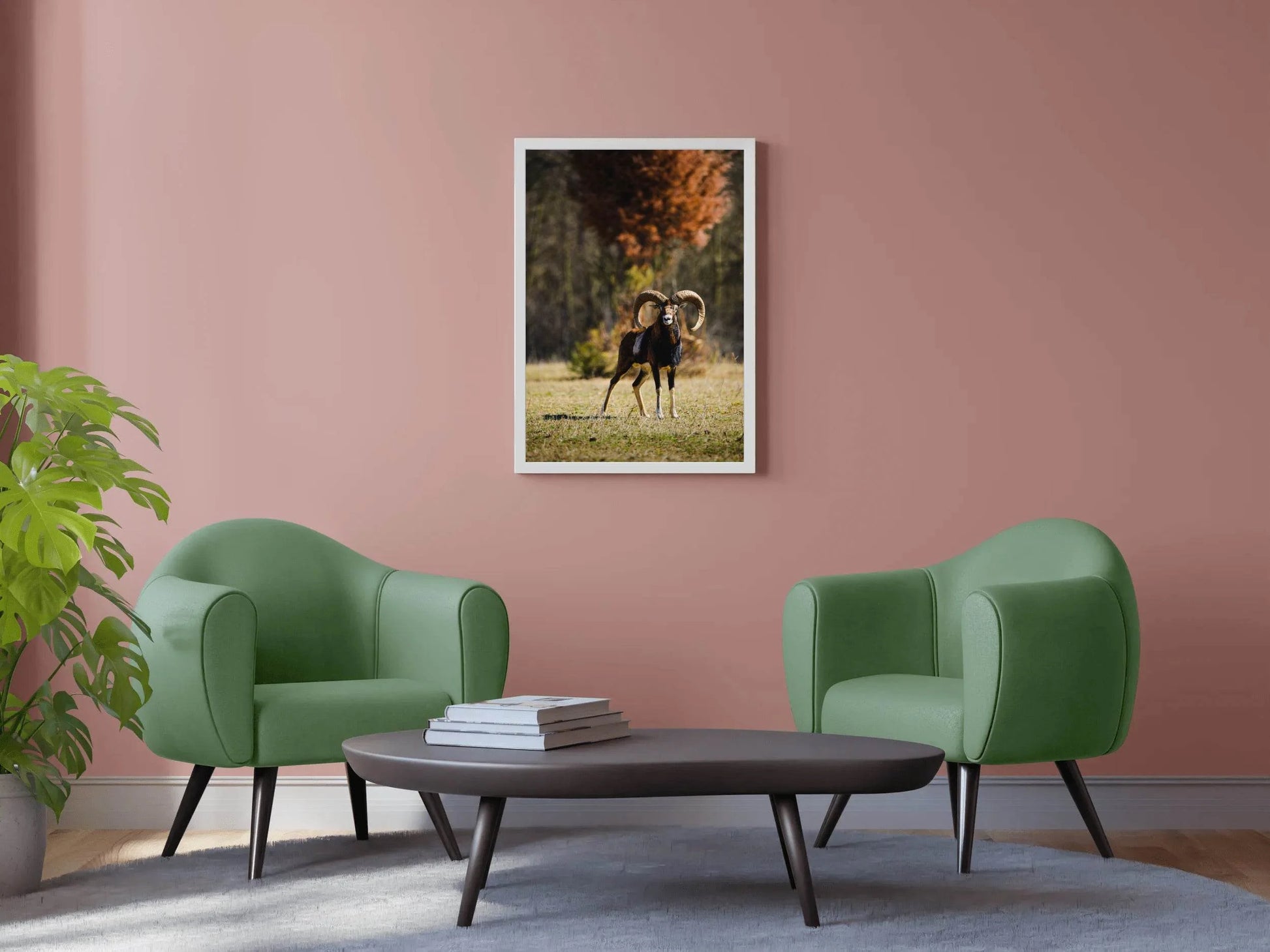 European Mouflon Animal Wall Art - beink online art store