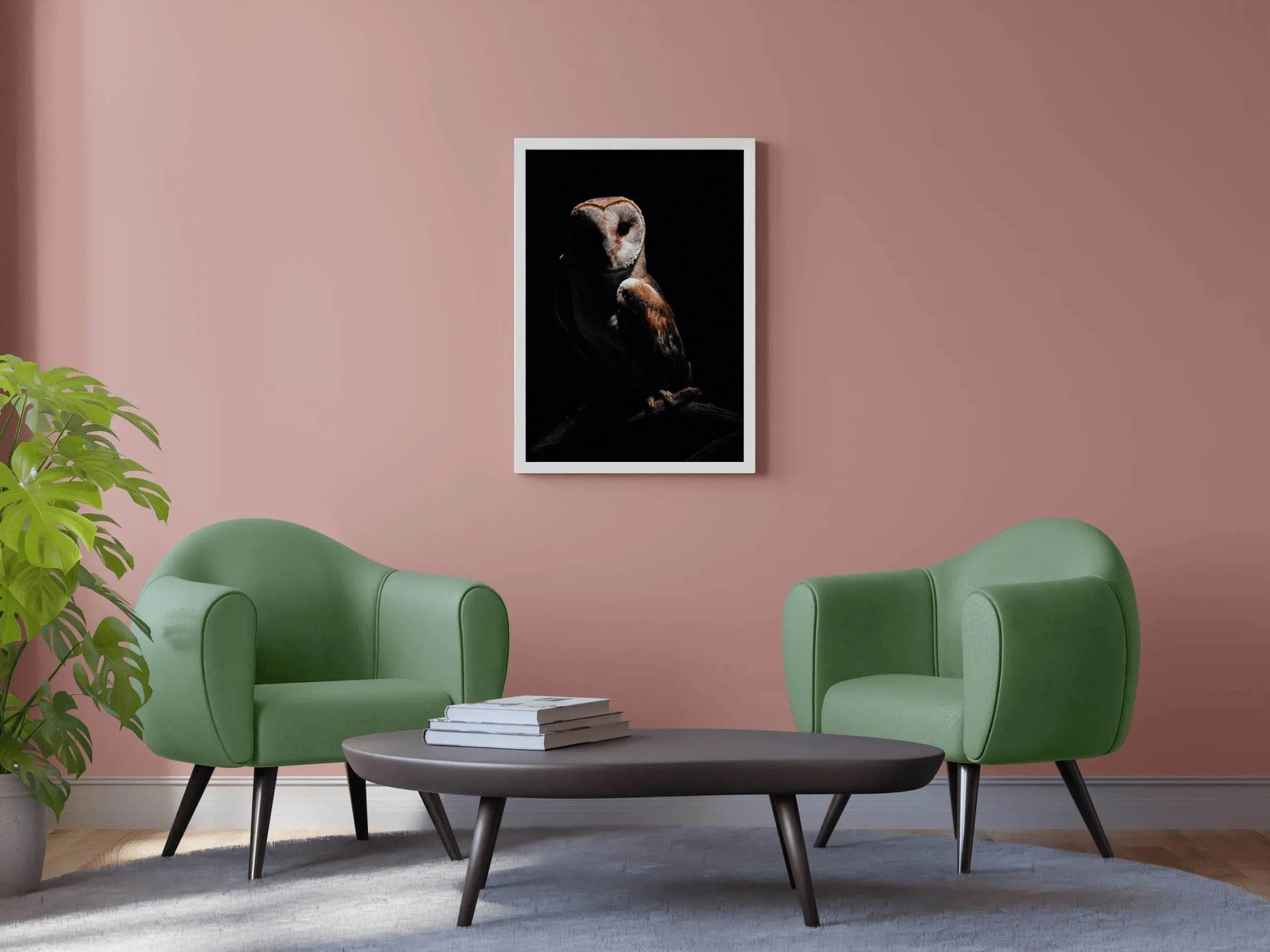 Barn Owl Bird Wall Art - beink online art store
