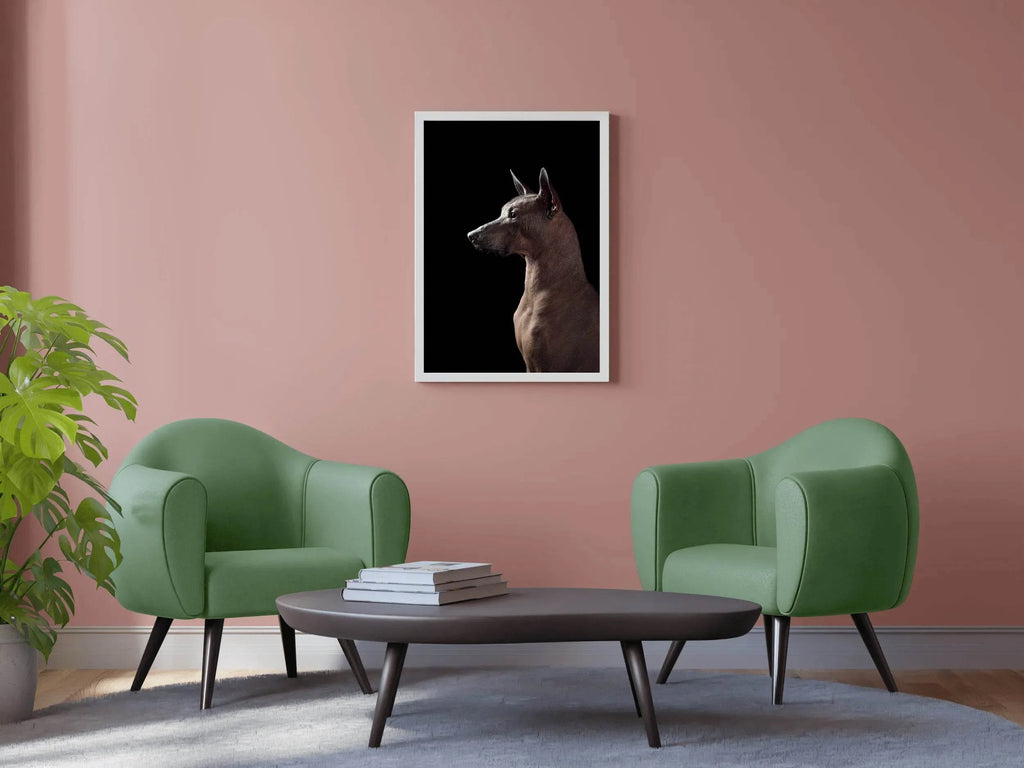 Peruvian Inca Orchid Animal Wall Art - beink online art store