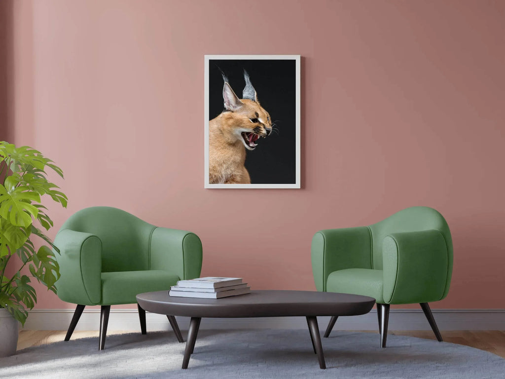 Caracal Wild Cat Animal Wall Art - beink online art store