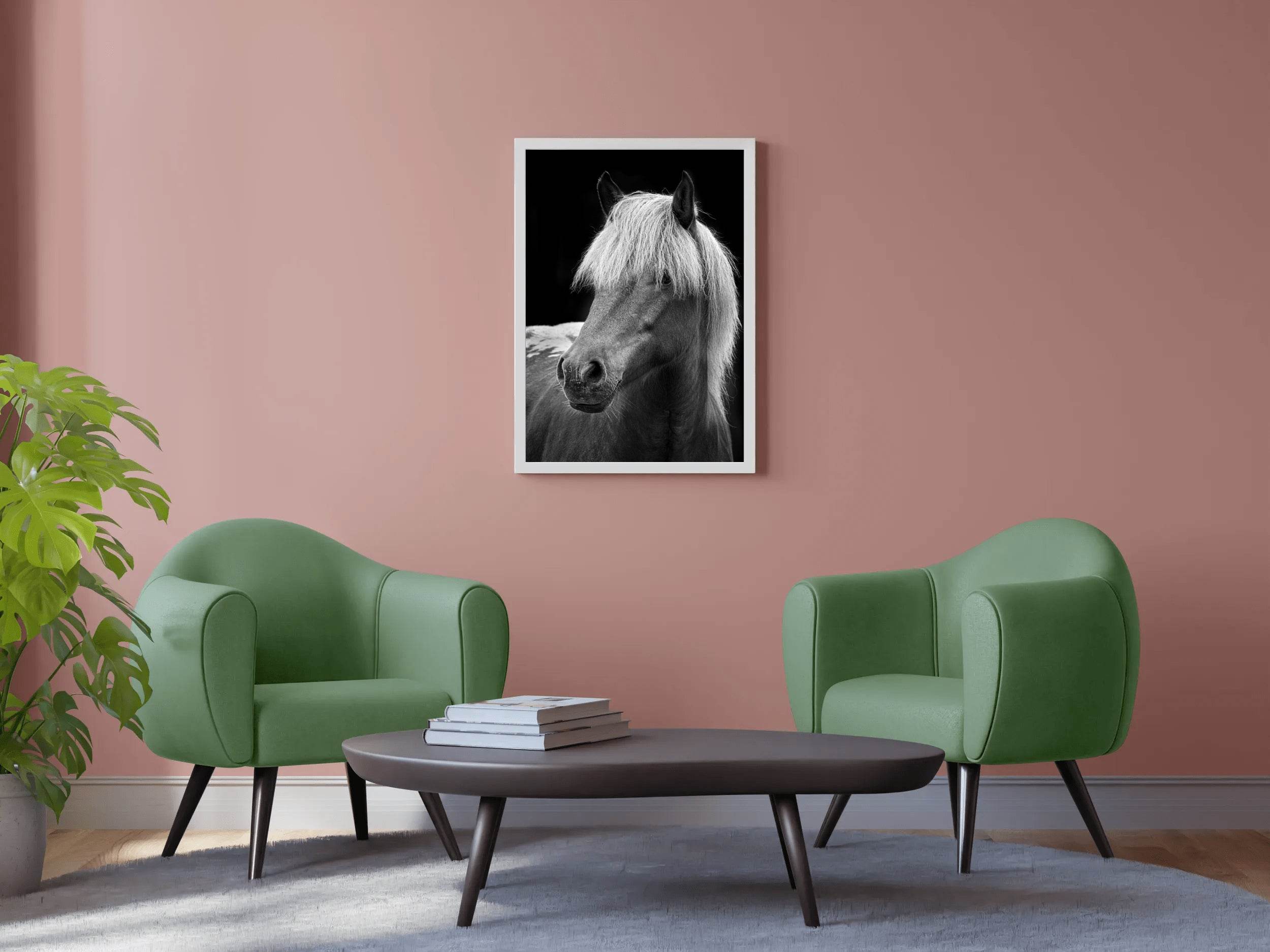 Icelandic Horse Black & White Wall Art - beink online art store